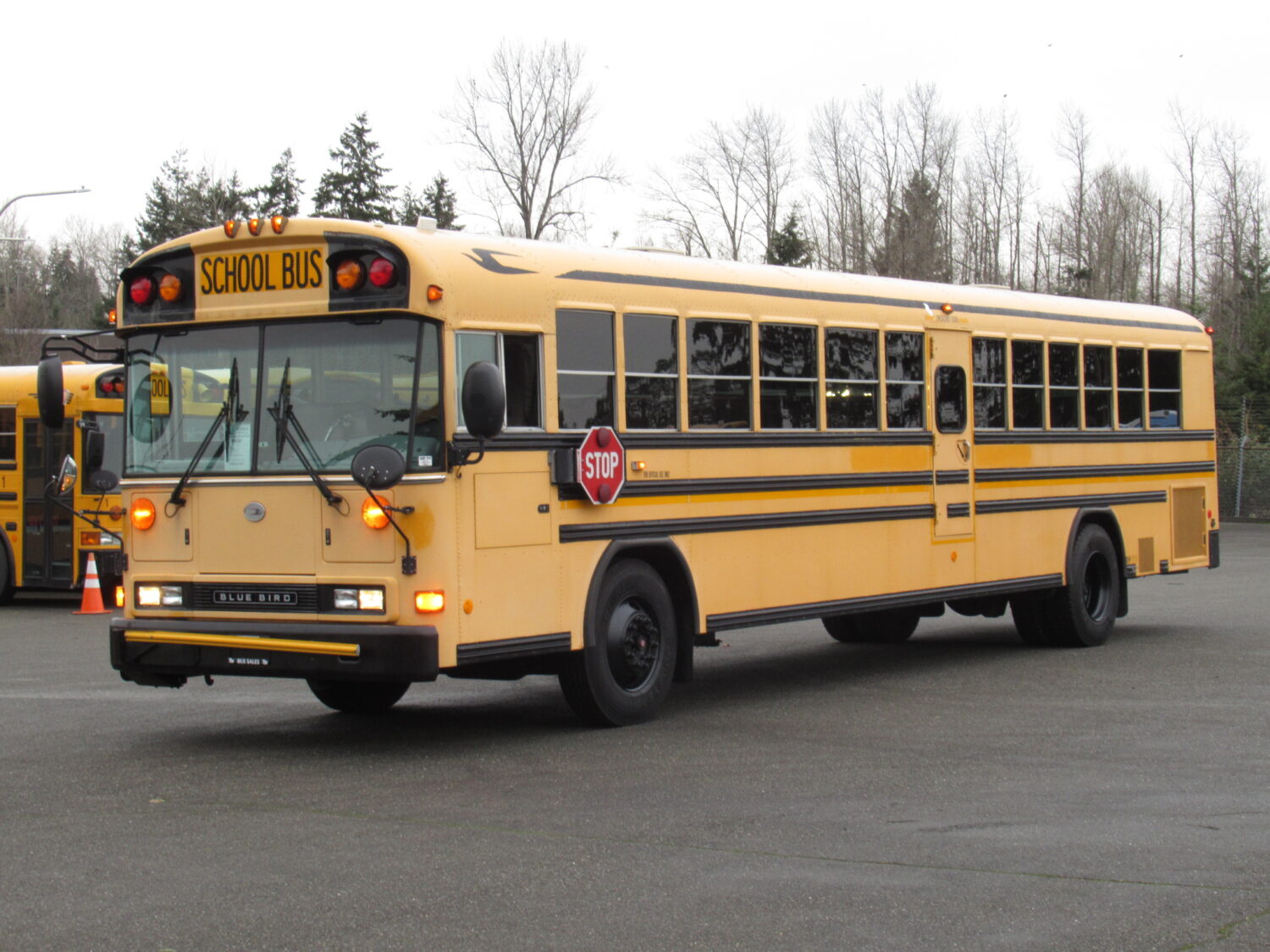 2006 Blue Bird All American 78 Passenger School Bus - B34397 - Image 2
