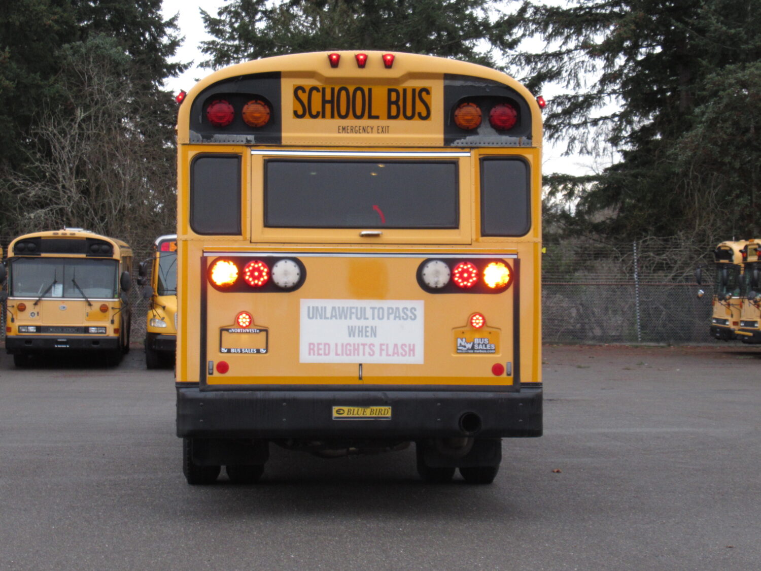 2006 Blue Bird All American 78 Passenger School Bus - B34397 - Image 11