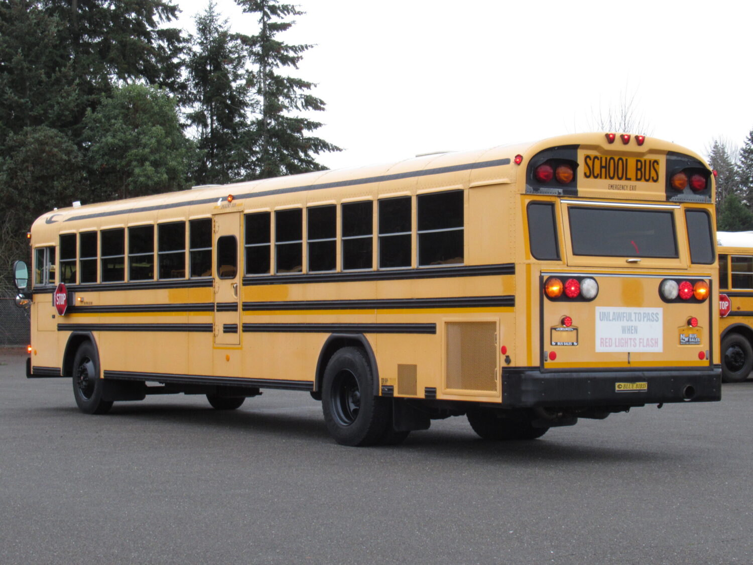 2006 Blue Bird All American 78 Passenger School Bus - B34397 - Image 4