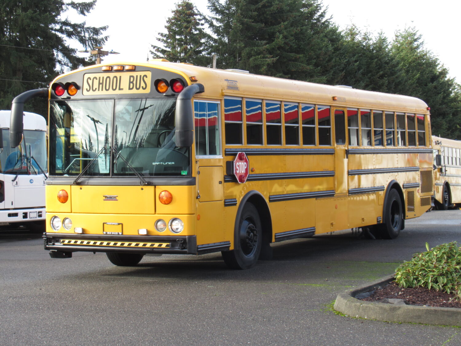 2010 Thomas HDX 78 Passenger School Bus - B21344 - Image 2