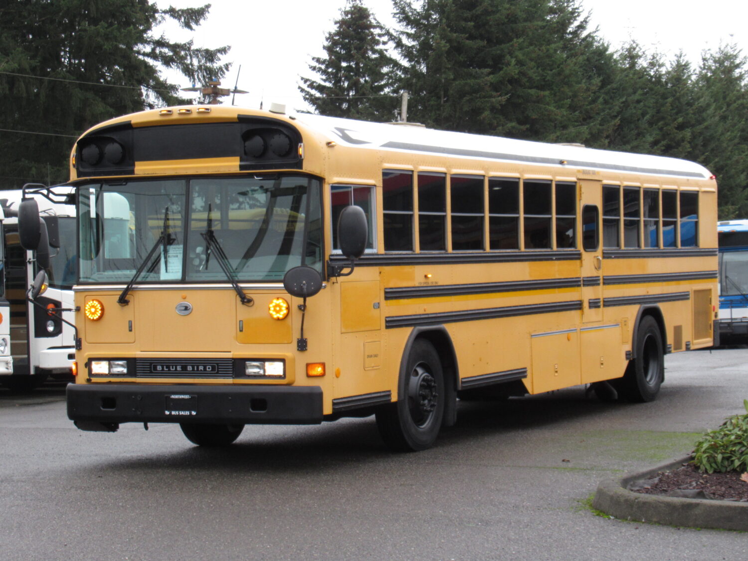 2006 Blue Bird All American 75 Passenger School Bus - B37808 - Image 2
