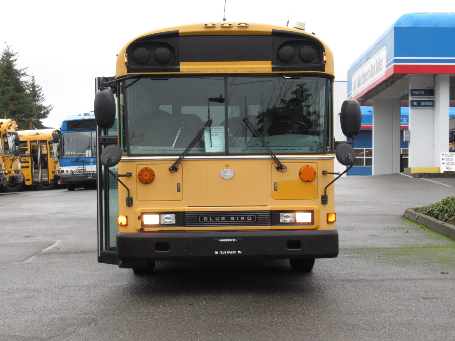 2006 Blue Bird All American 75 Passenger School Bus - B37808 - Image 12