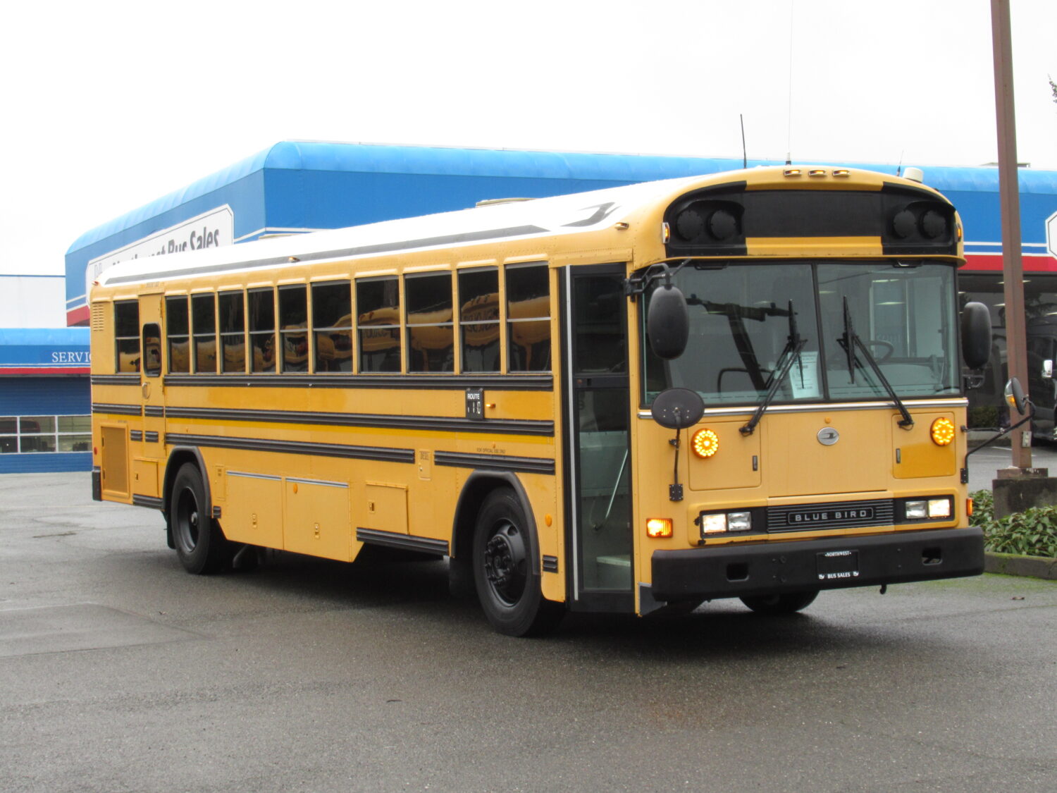 2006 Blue Bird All American 75 Passenger School Bus - B37808