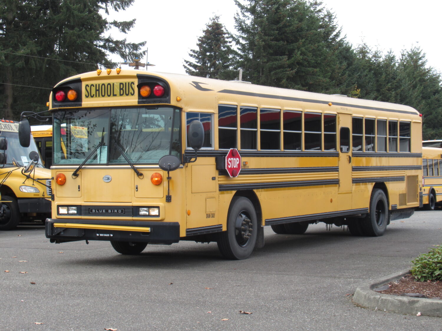 2009 Bluebird All American 78 Passenger School Bus - B64177 - Image 2