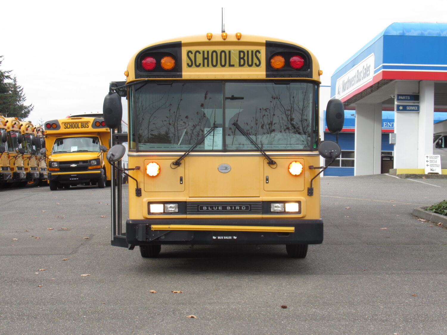 2009 Bluebird All American 78 Passenger School Bus - B64177 - Image 12