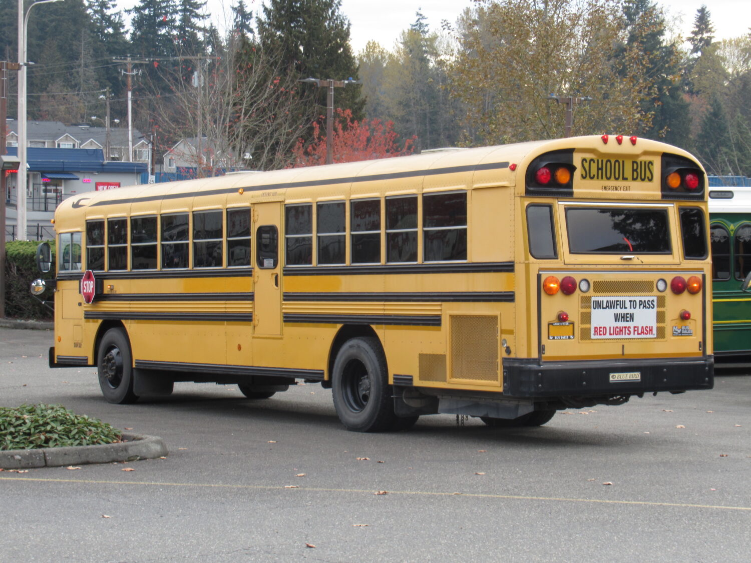 2009 Bluebird All American 78 Passenger School Bus - B64177 - Image 4