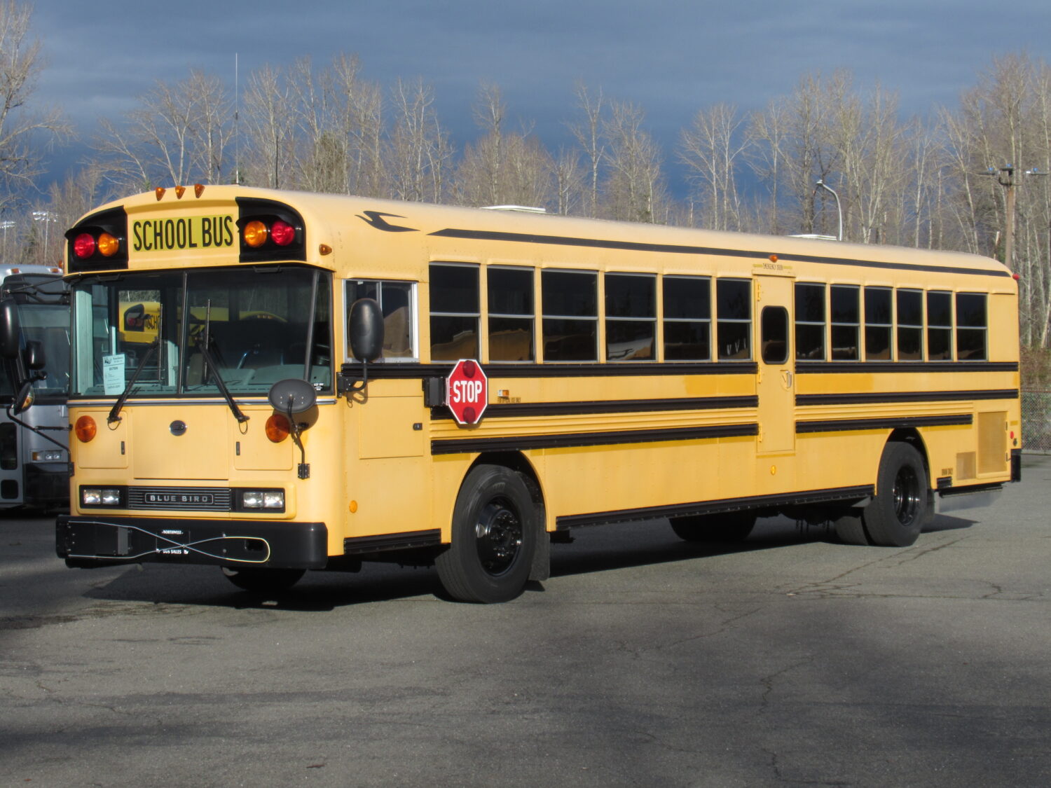 2009 Bluebird All American 78 Passenger School Bus - B57006 - Image 2