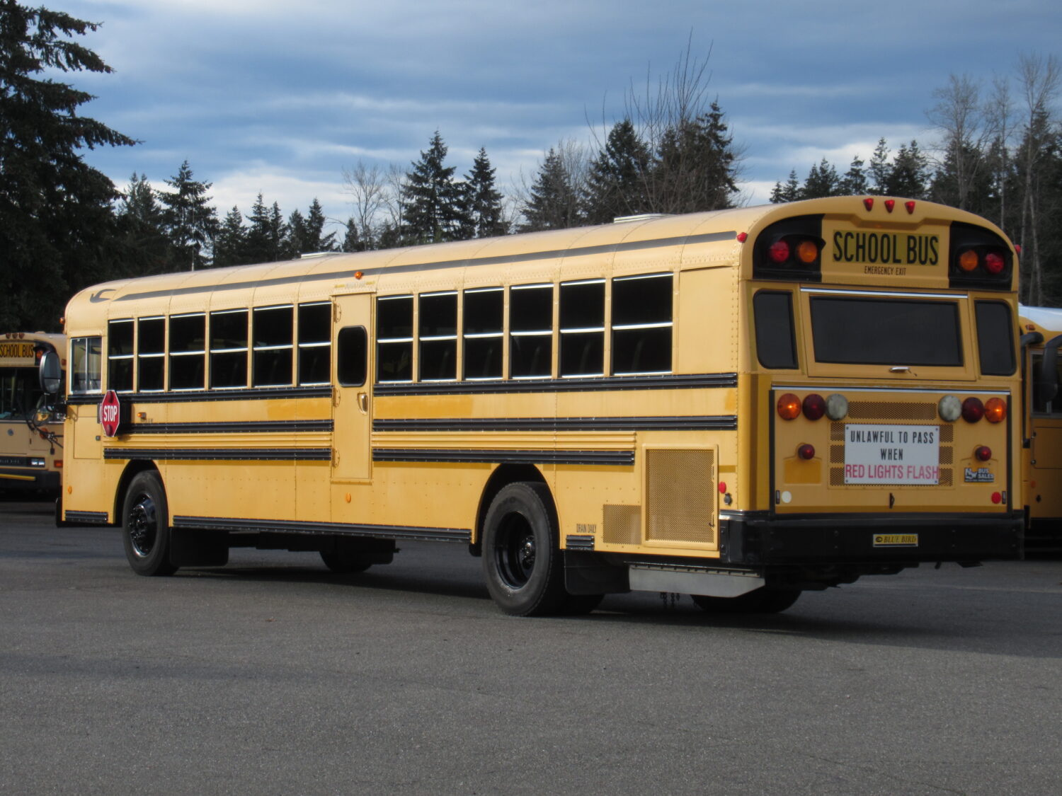 2009 Bluebird All American 78 Passenger School Bus - B57006 - Image 4