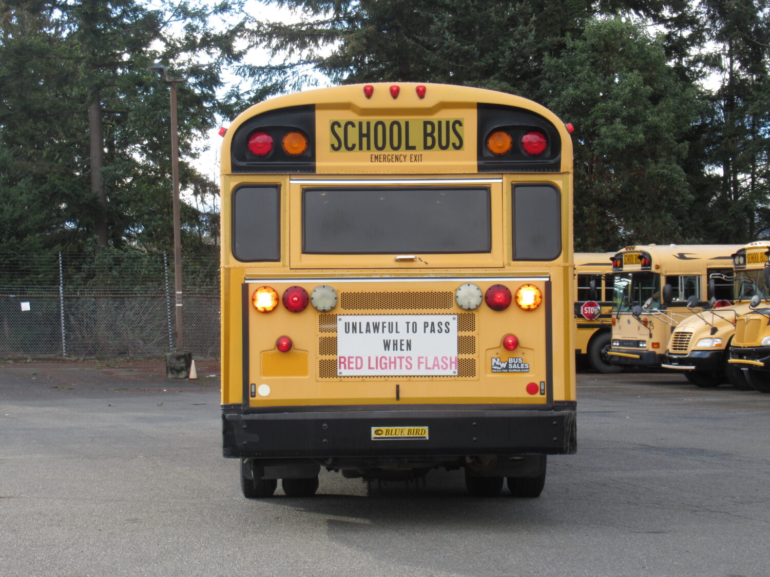 2009 Bluebird All American 78 Passenger School Bus - B57006 - Image 11