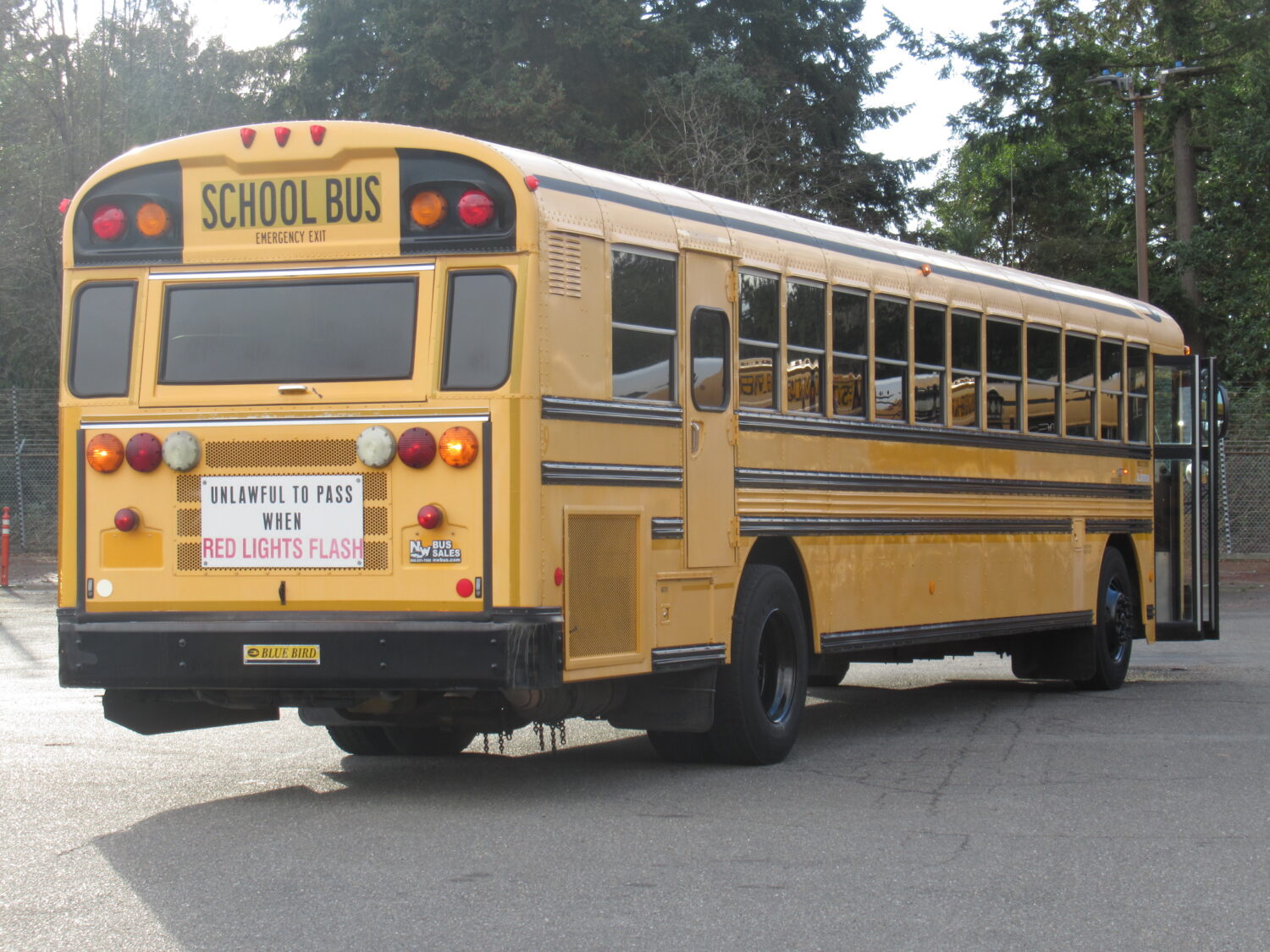 2009 Bluebird All American 78 Passenger School Bus - B57006 - Image 3