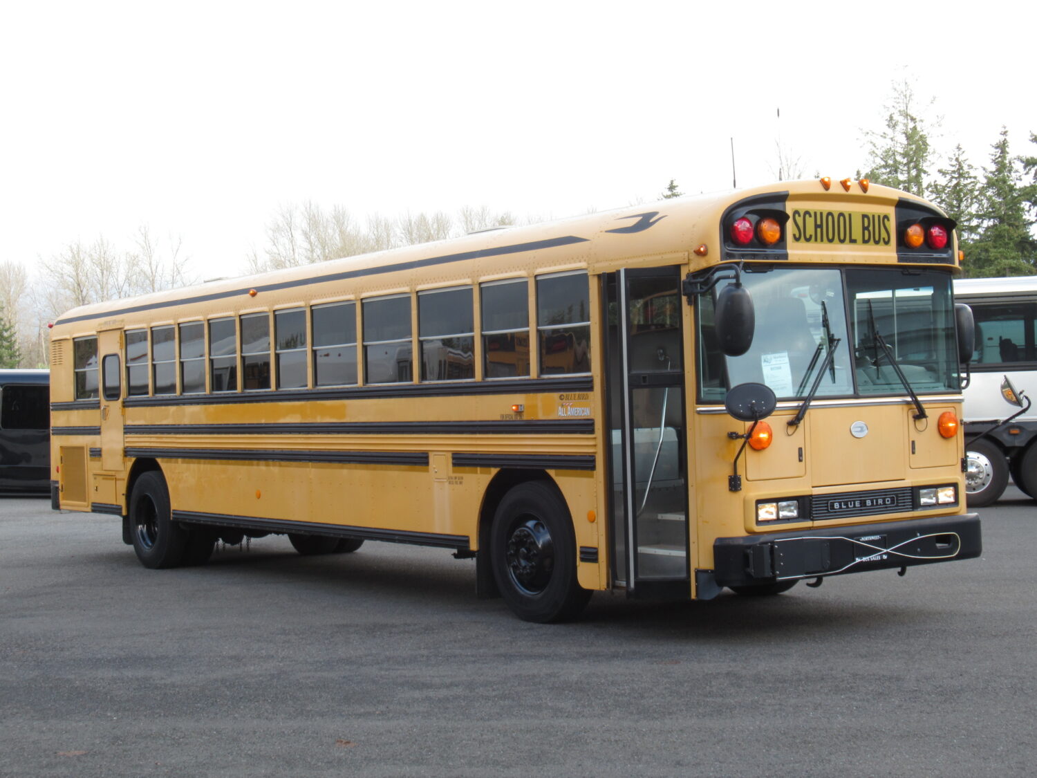 2009 Bluebird All American 78 Passenger School Bus - B57006