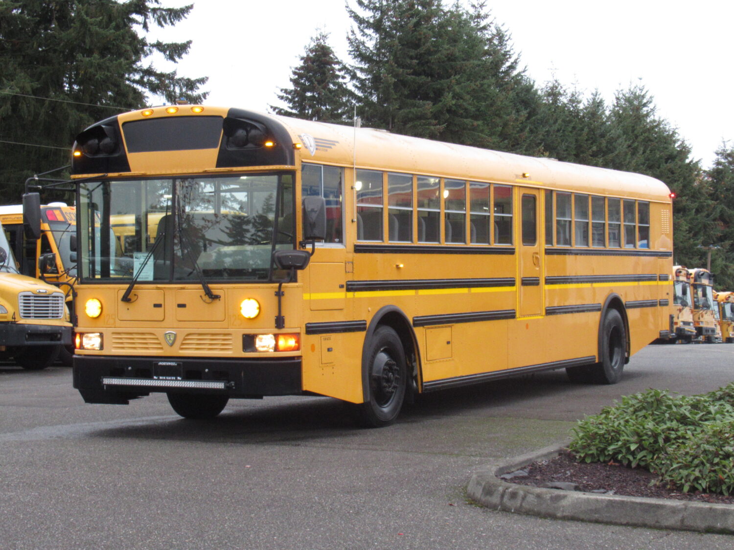 2013 International RE 81 Passenger School Bus - B22389 - Image 2