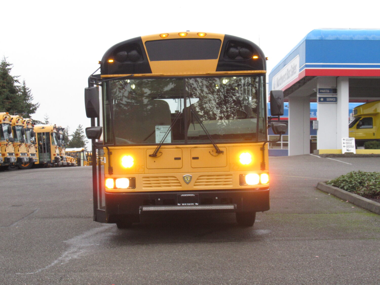 2013 International RE 81 Passenger School Bus - B22389 - Image 3
