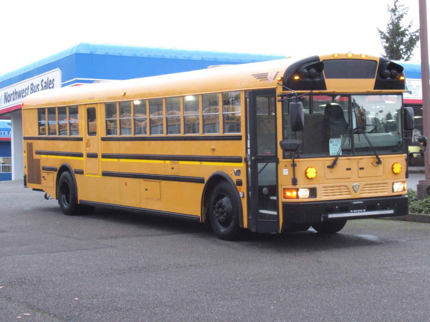 2013 International RE 81 Passenger School Bus - B22389
