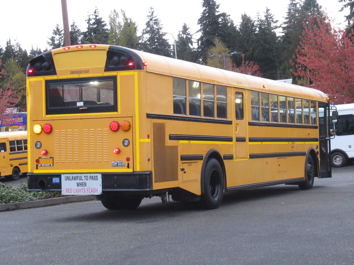 2013 International RE 81 Passenger School Bus - B22389 - Image 4