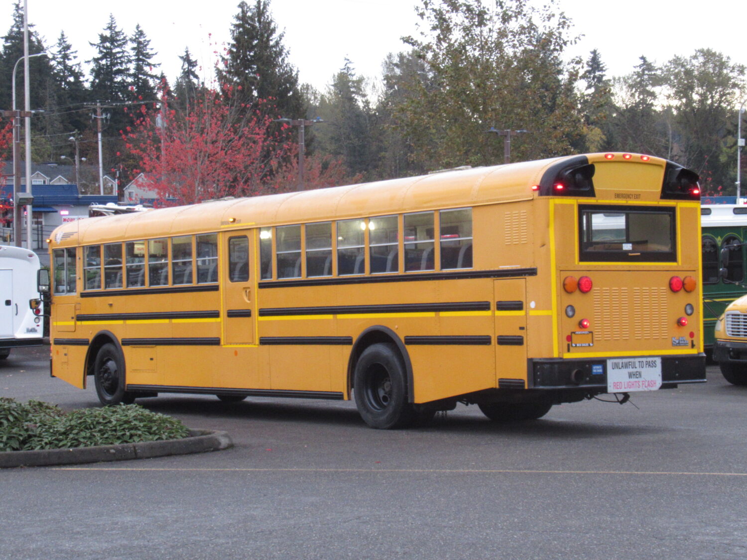 2013 International RE 81 Passenger School Bus - B22389 - Image 5