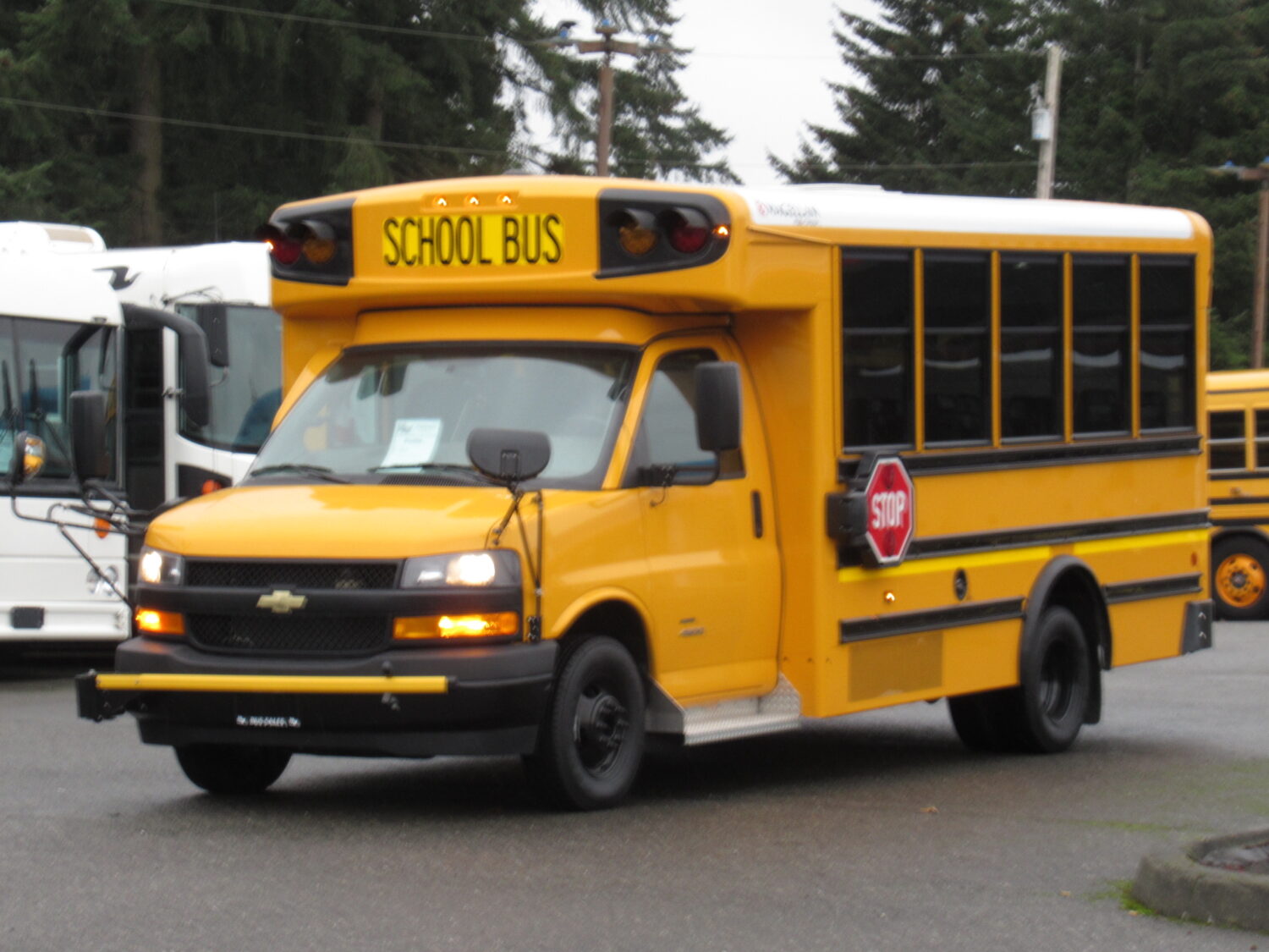 2023 Chevrolet Magellan 30 Passenger Type-A School Bus - B11981 - Image 2