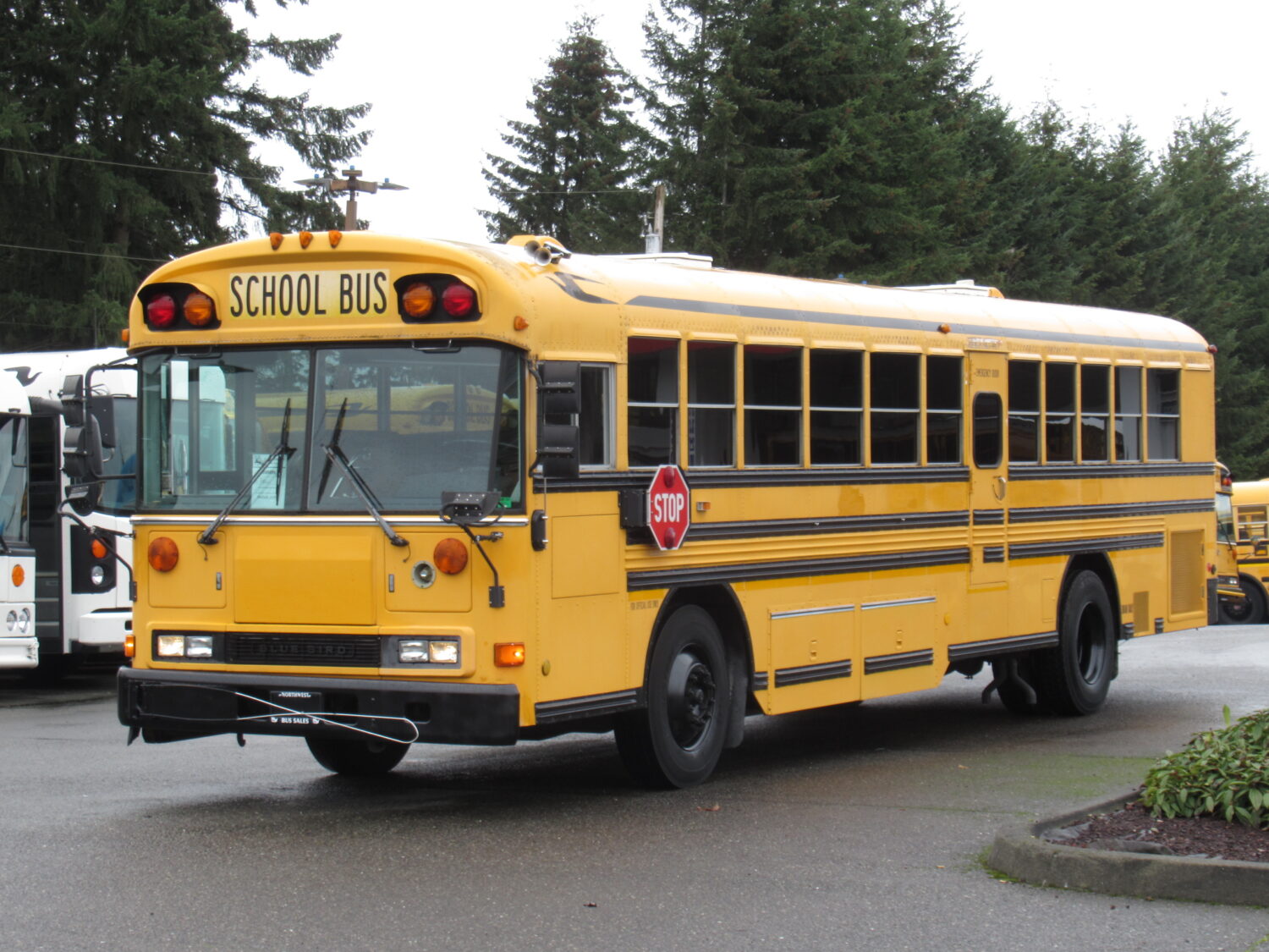 2001 Blue Bird All American 78 Passenger School Bus - B98696 - Image 2