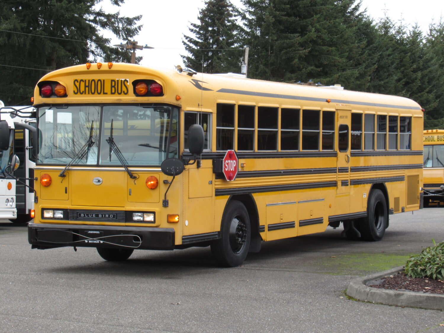 2002 Blue Bird All American 78 Passenger School Bus - B05522 - Image 2
