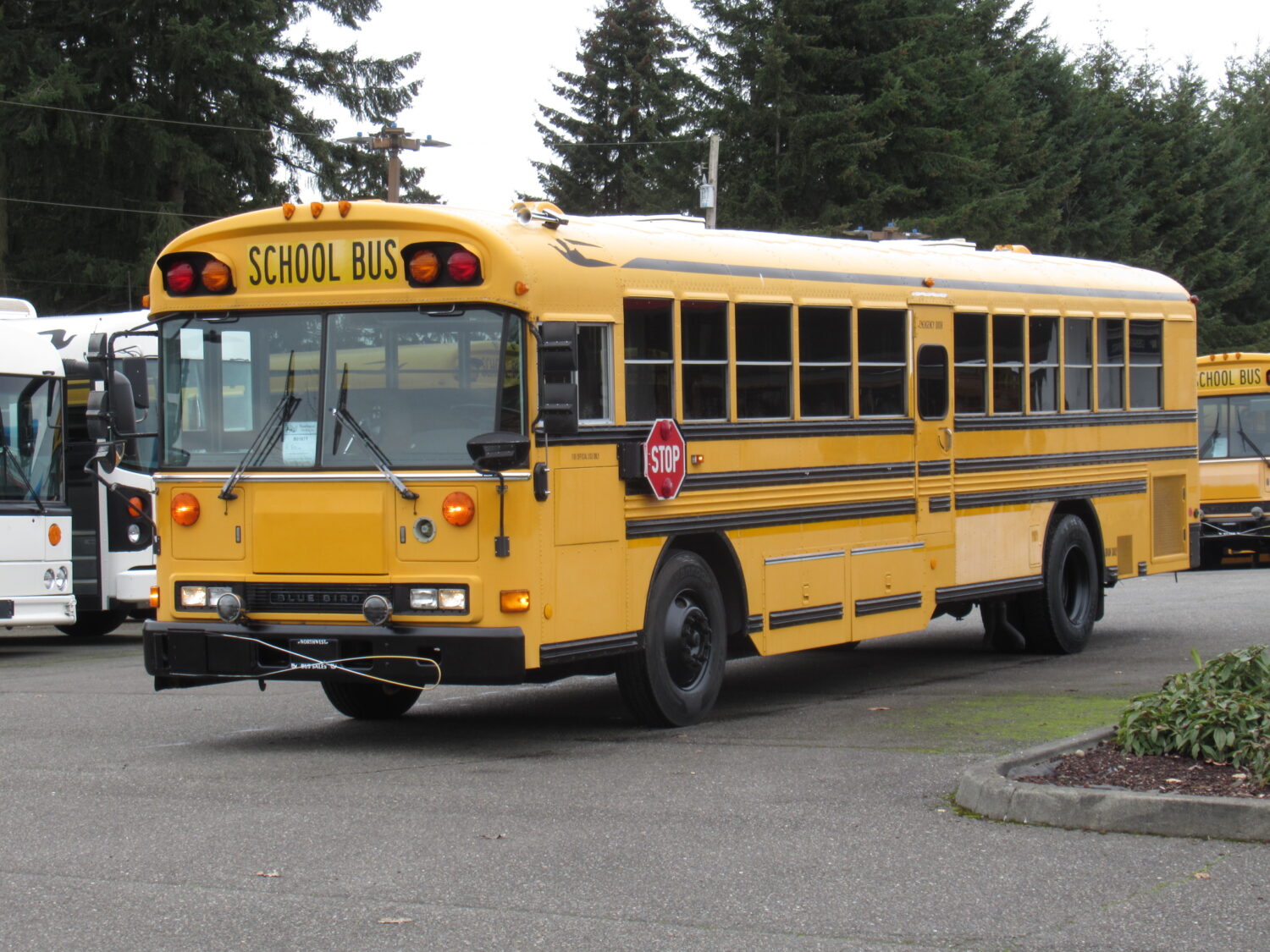 2001 Blue Bird All American 78 Passenger School Bus - B01677 - Image 2