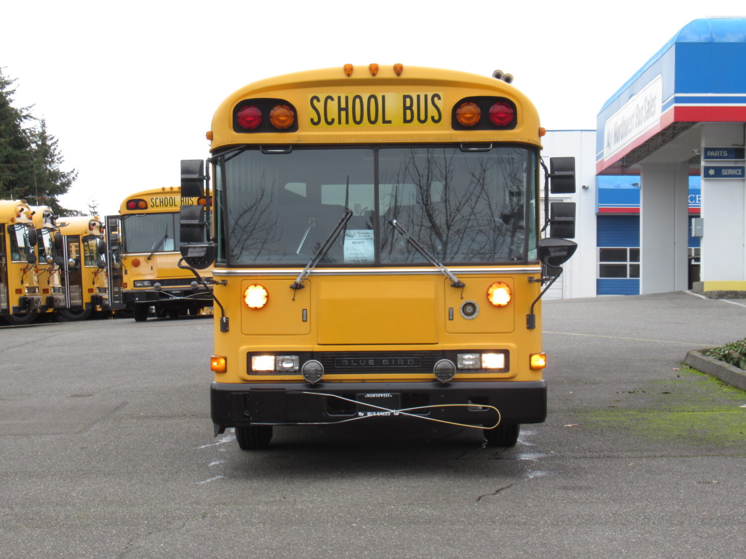 2001 Blue Bird All American 78 Passenger School Bus - B01677 - Image 12