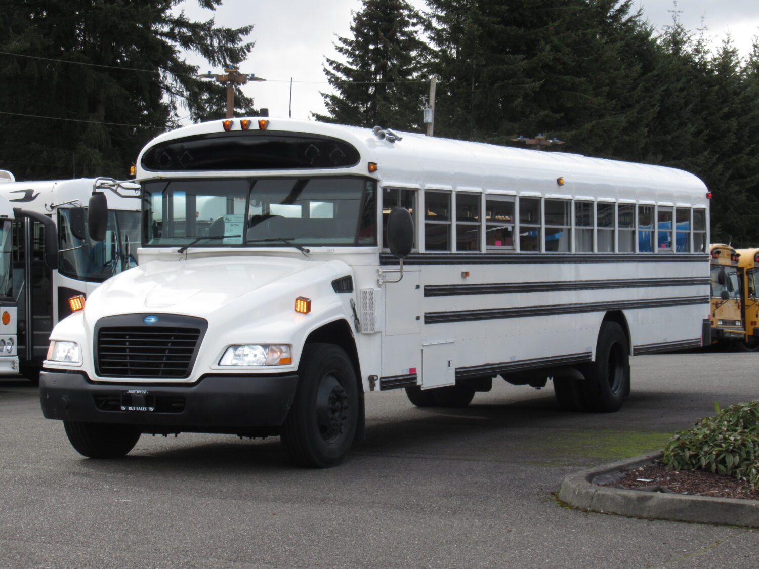 2010 Blue Bird Vision 71 Passenger School Bus - B67780 - Image 2