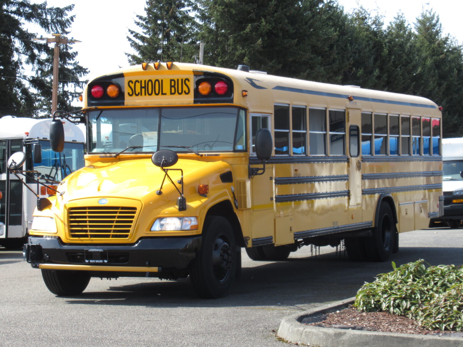 2009 Blue Bird Vision 74 Passenger School Bus - B59253 - Image 2
