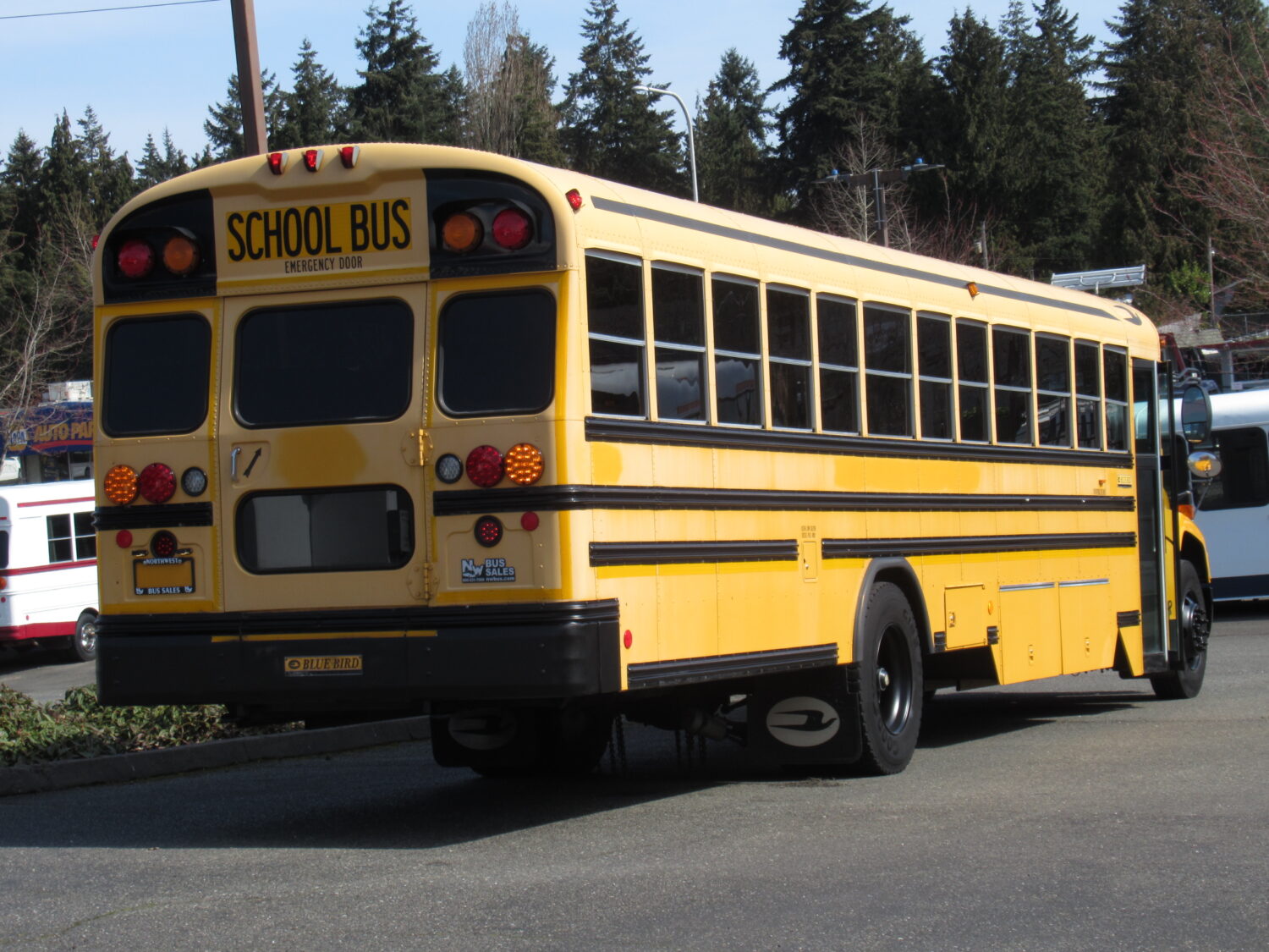 2009 Blue Bird Vision 74 Passenger School Bus - B59253 - Image 3