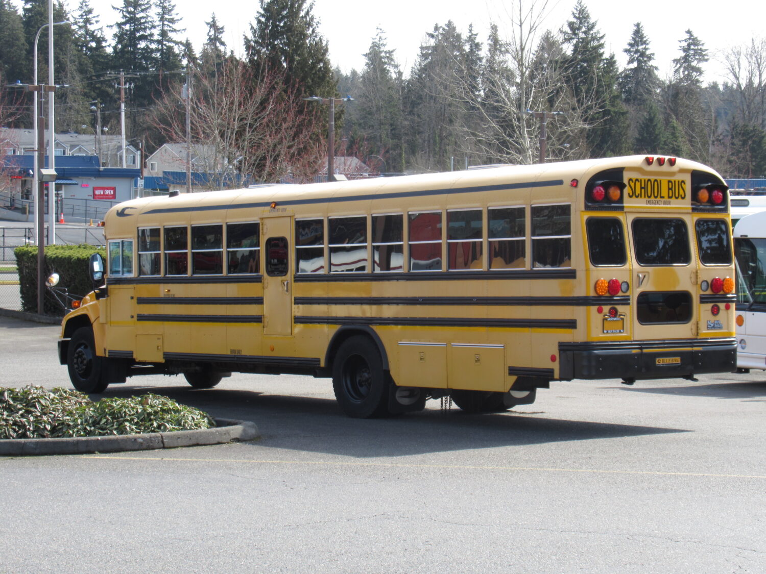 2009 Blue Bird Vision 74 Passenger School Bus - B59253 - Image 4