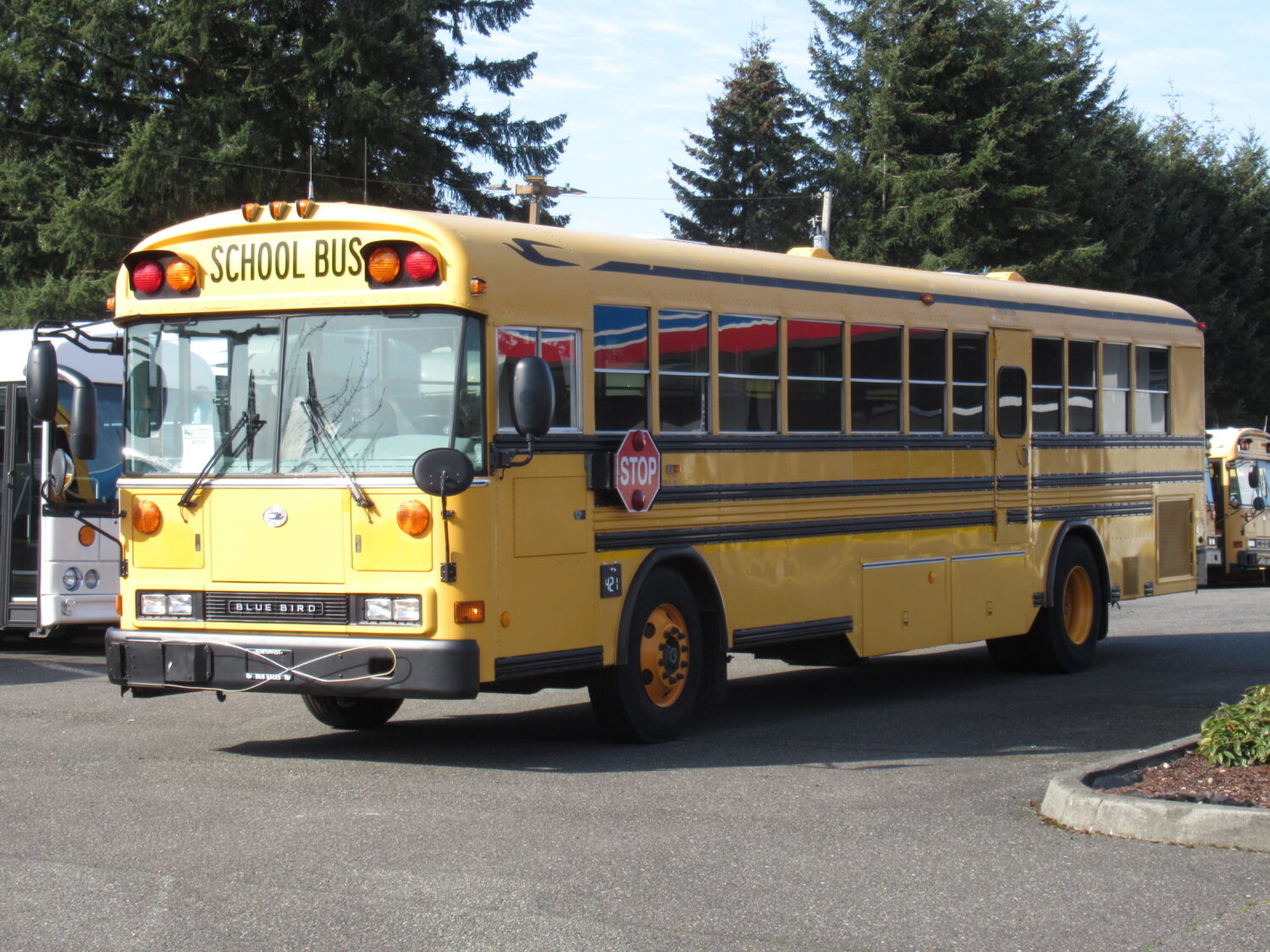 2005 Blue Bird All American 78 Passenger School Bus - B27119 - Image 2