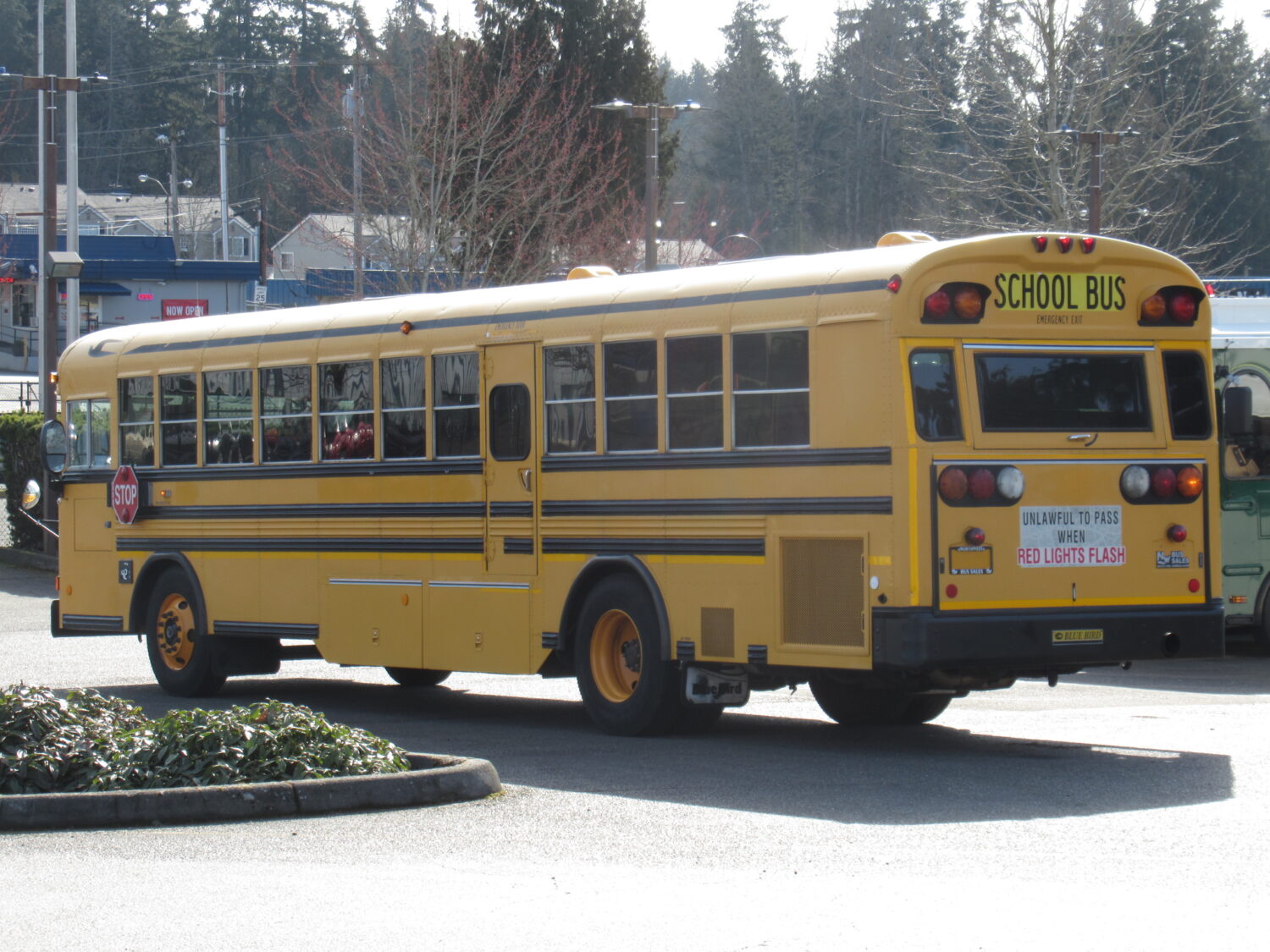 2005 Blue Bird All American 78 Passenger School Bus - B27119 - Image 4