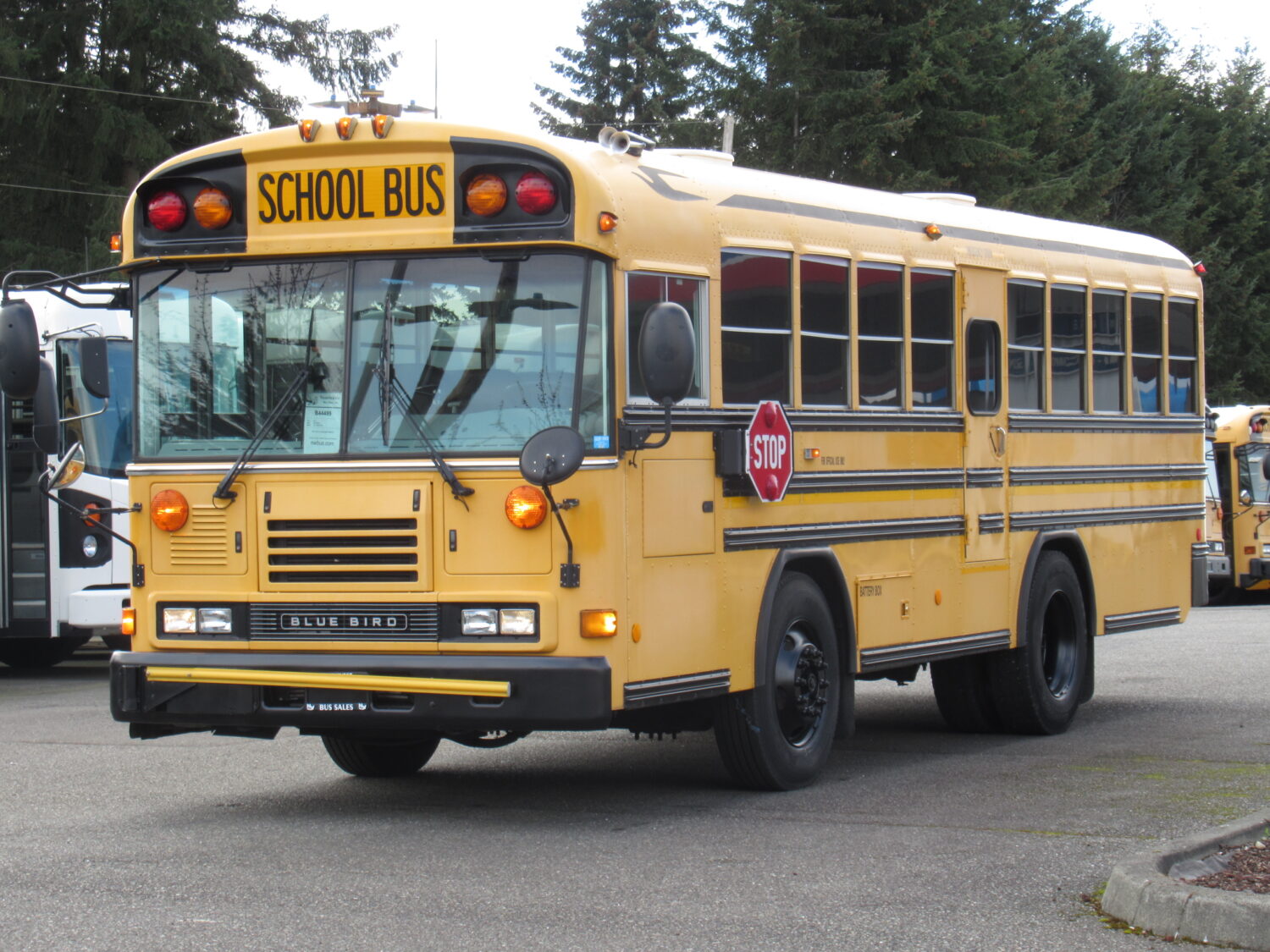 2007 Blue Bird All American 26 Passenger + 1 Wheelchair Short School Bus - B44499 - Image 2