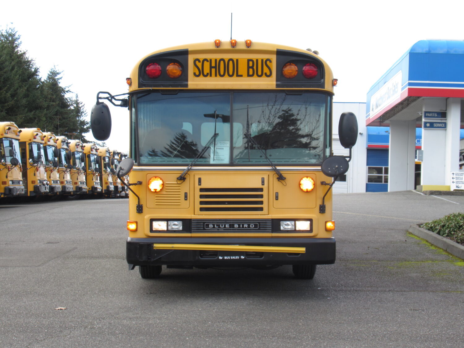 2007 Blue Bird All American 26 Passenger + 1 Wheelchair Short School Bus - B44499 - Image 12