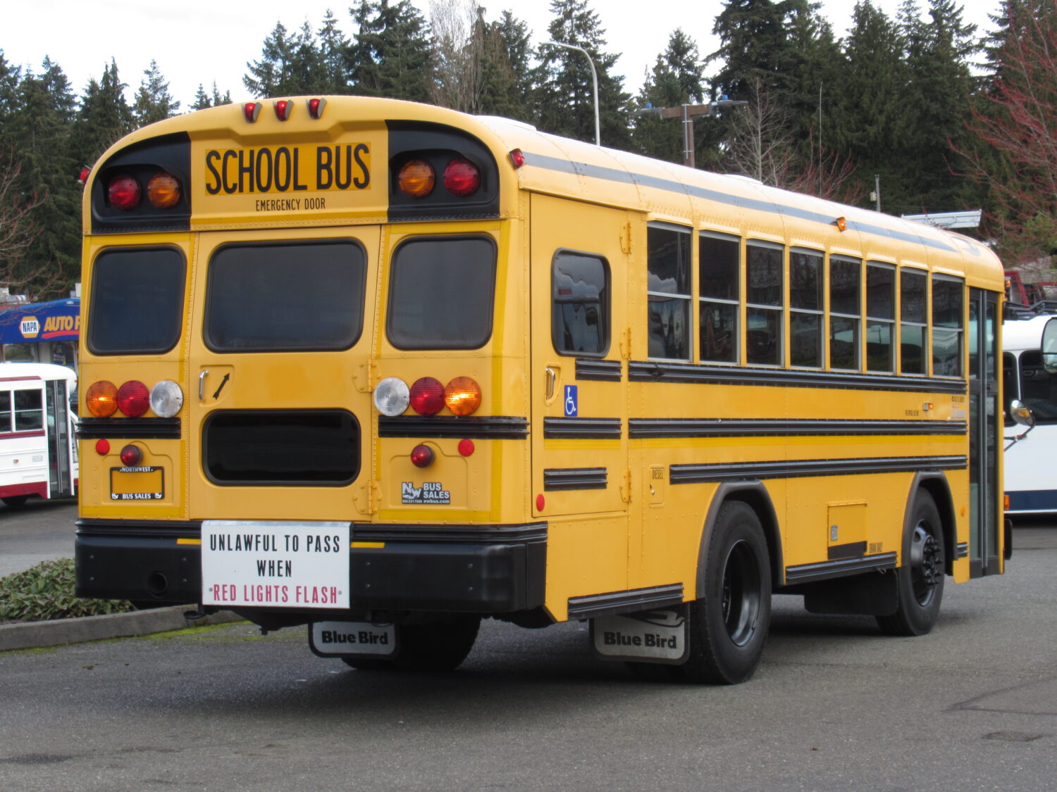 2007 Blue Bird All American 26 Passenger + 1 Wheelchair Short School Bus - B44499 - Image 3