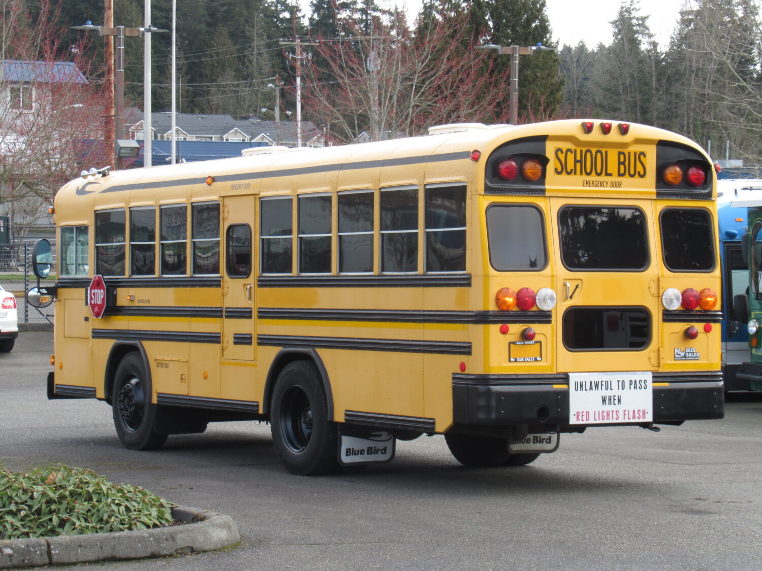 2007 Blue Bird All American 26 Passenger + 1 Wheelchair Short School Bus - B44499 - Image 4