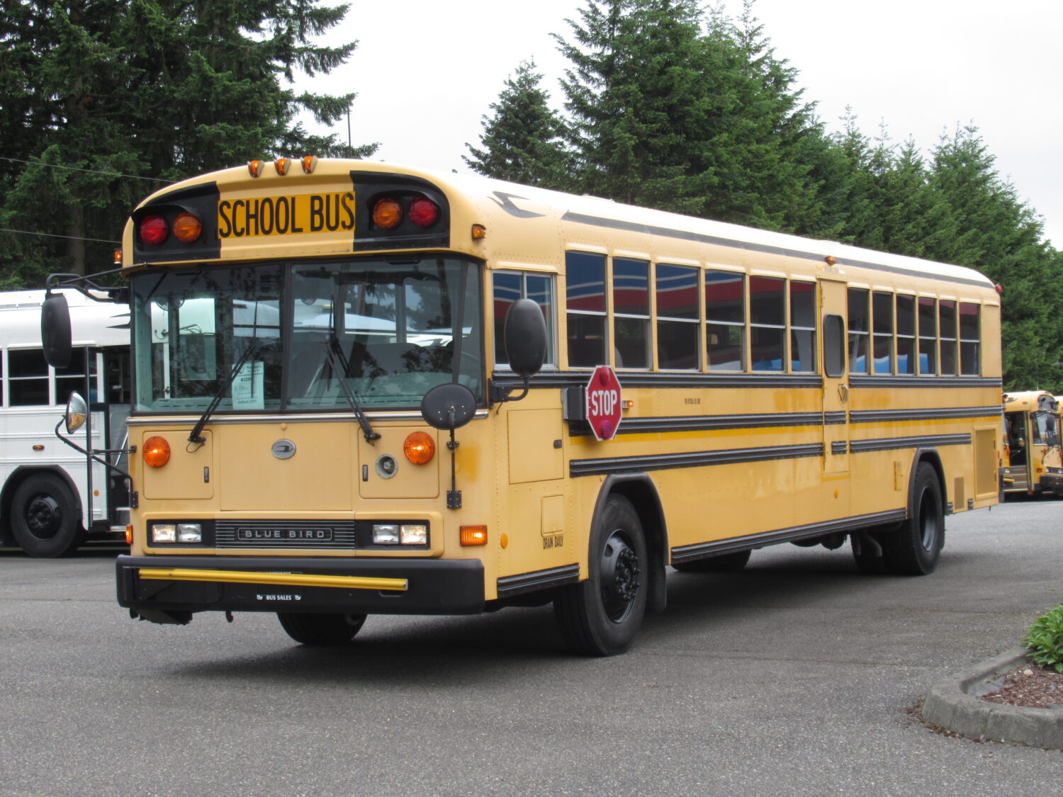 2006 Blue Bird All American 78 Passenger School Bus - B32504 - Image 2
