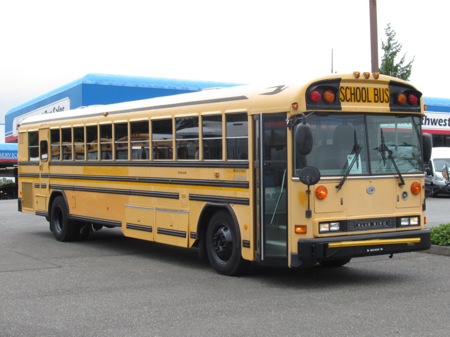 2006 Blue Bird All American 78 Passenger School Bus - B32504