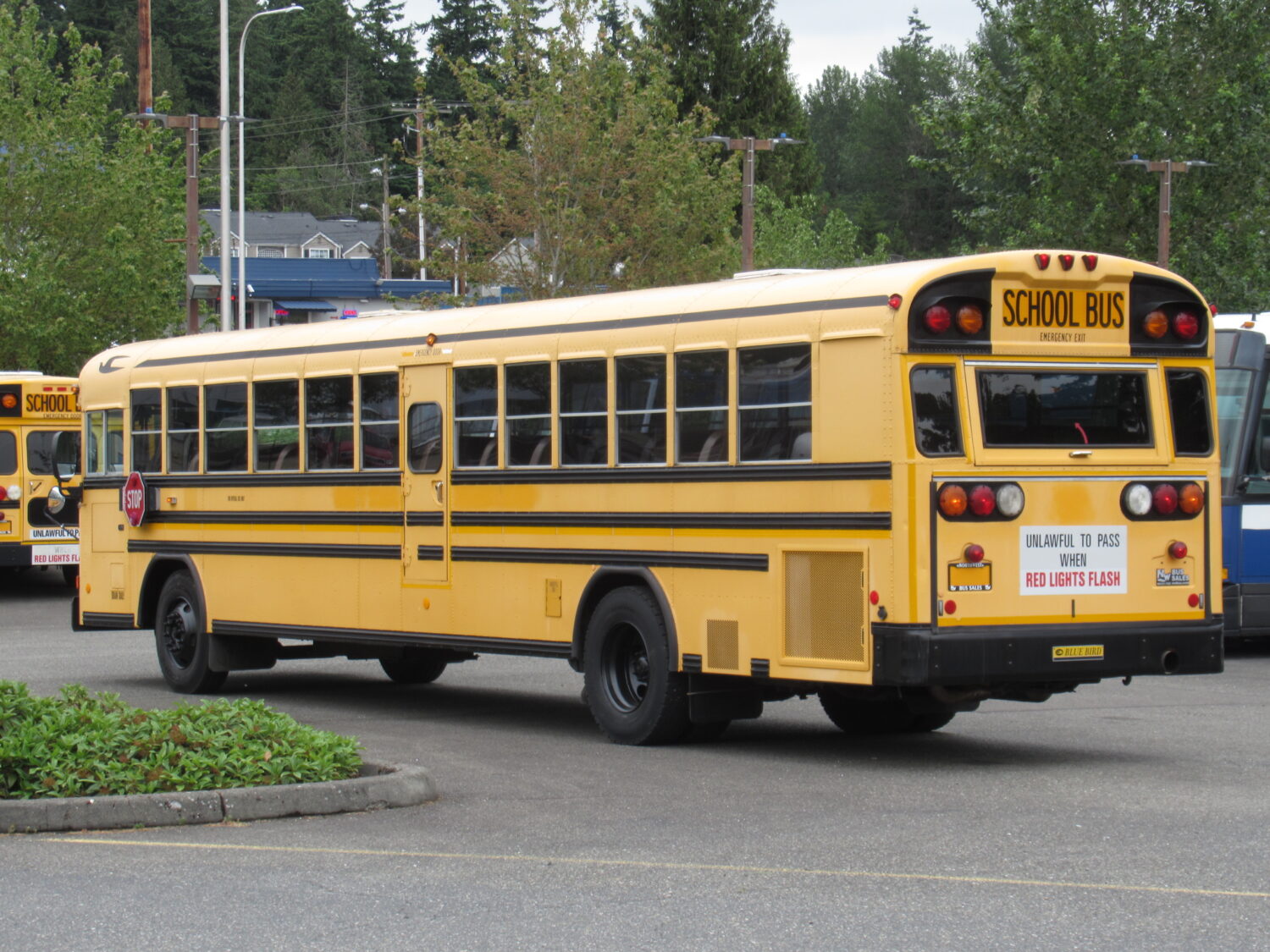 2006 Blue Bird All American 78 Passenger School Bus - B32504 - Image 4