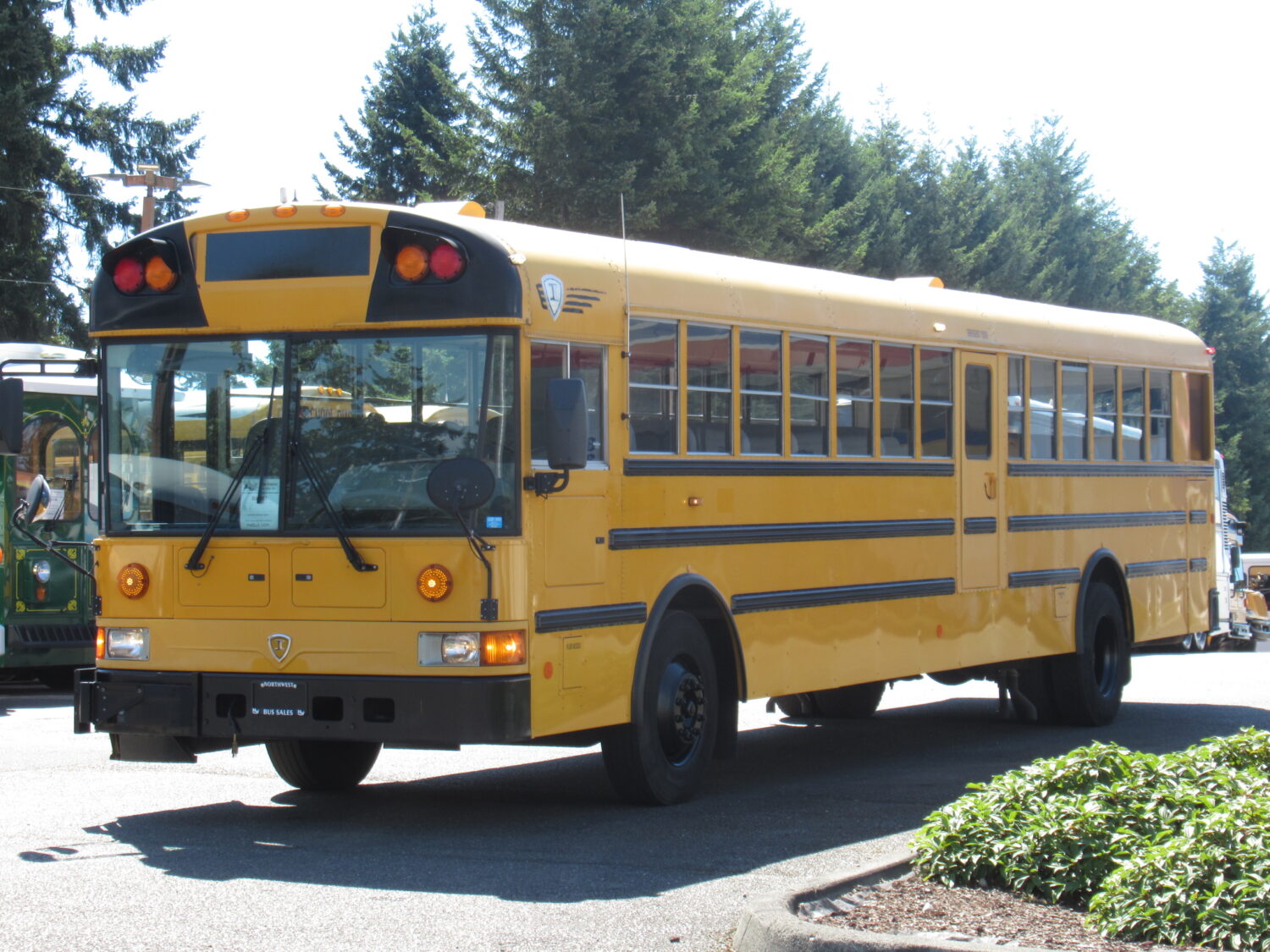 2005 International RE-300 81 Passenger School Bus - B81351 - Image 2