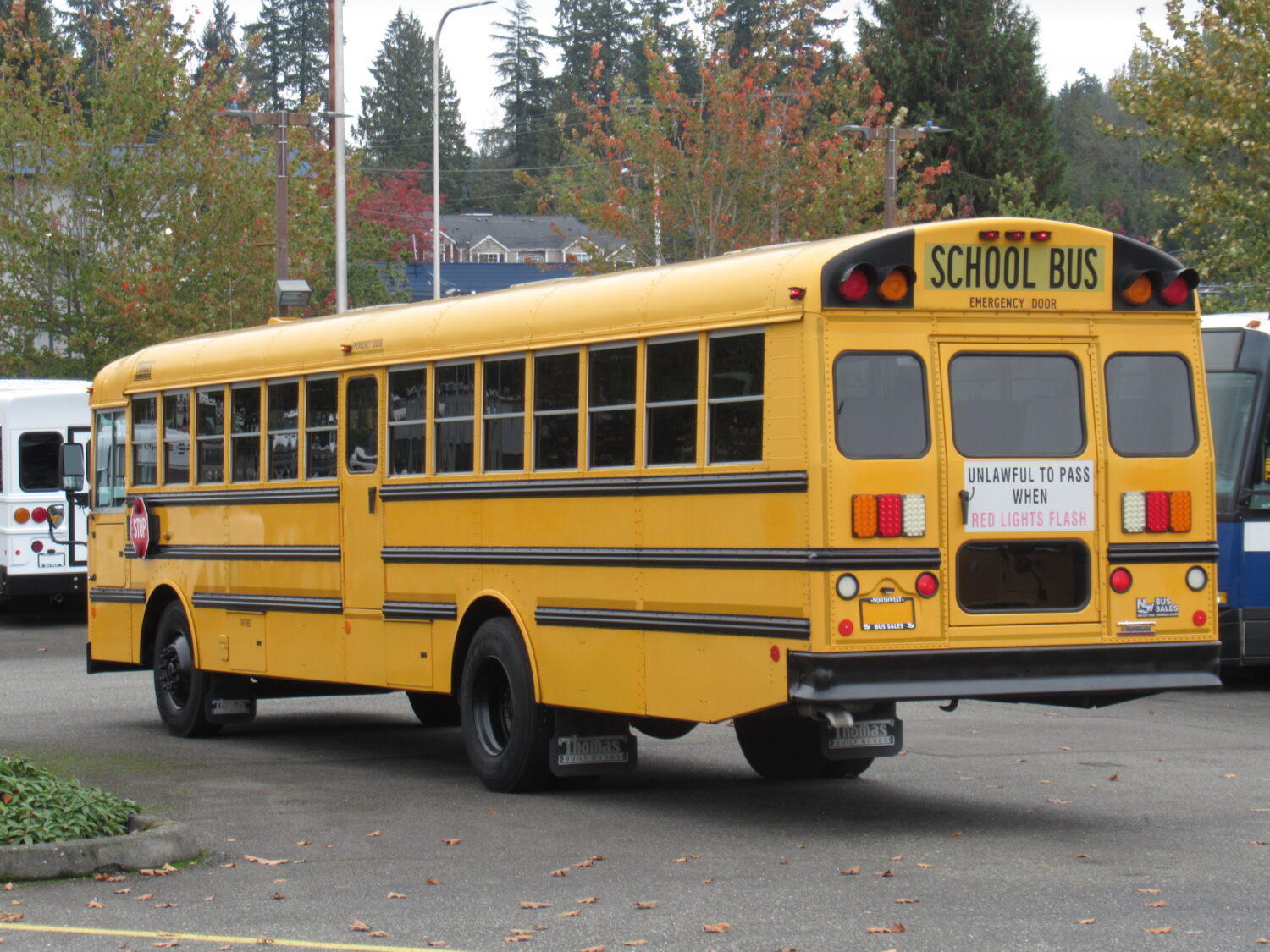 2011 Thomas Saf-T-Liner FE 78 Passenger School Bus - B31924 - Image 4