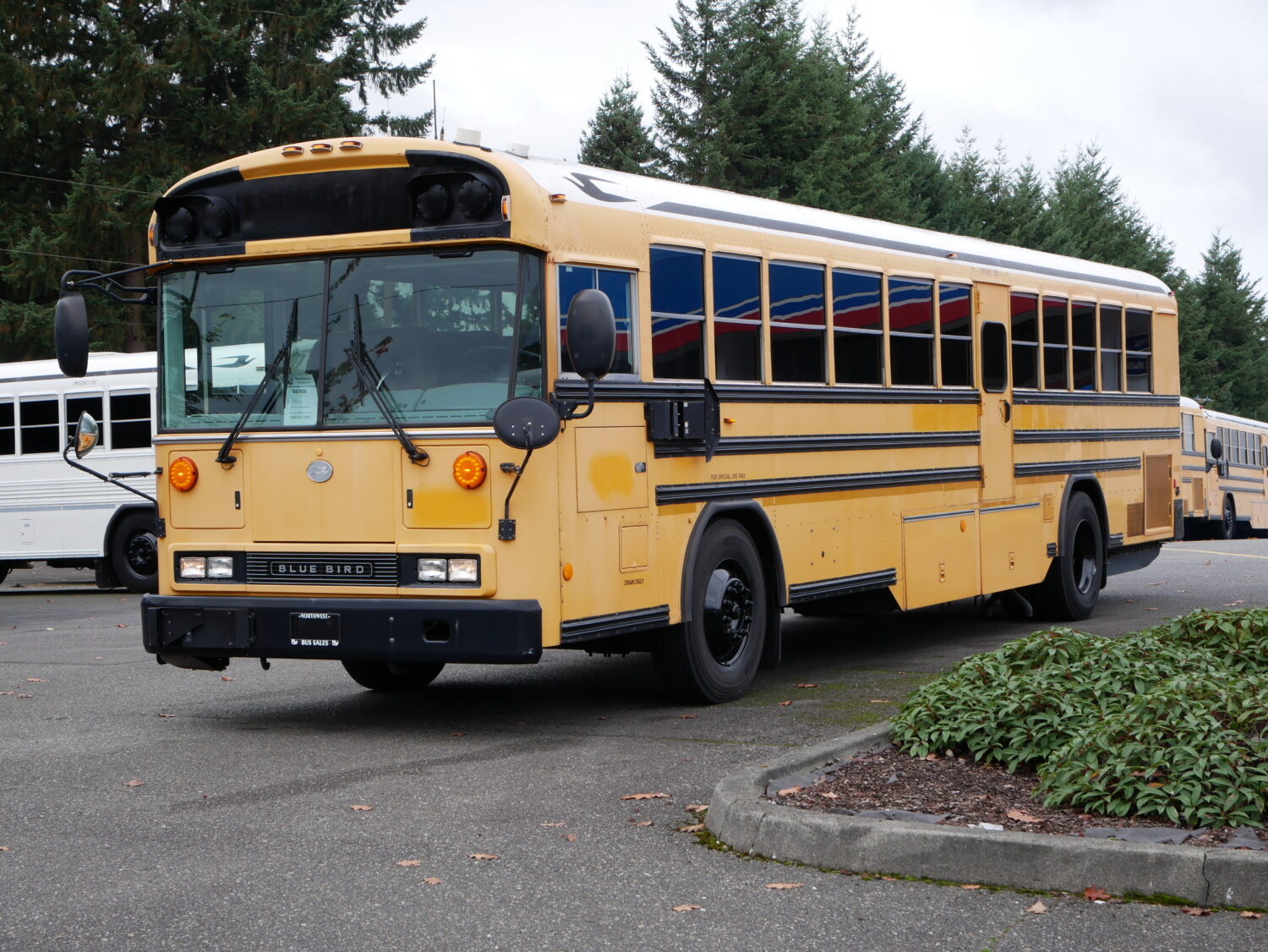 2010 Blue Bird All American 75 Passenger School Bus - B67058 - Image 2