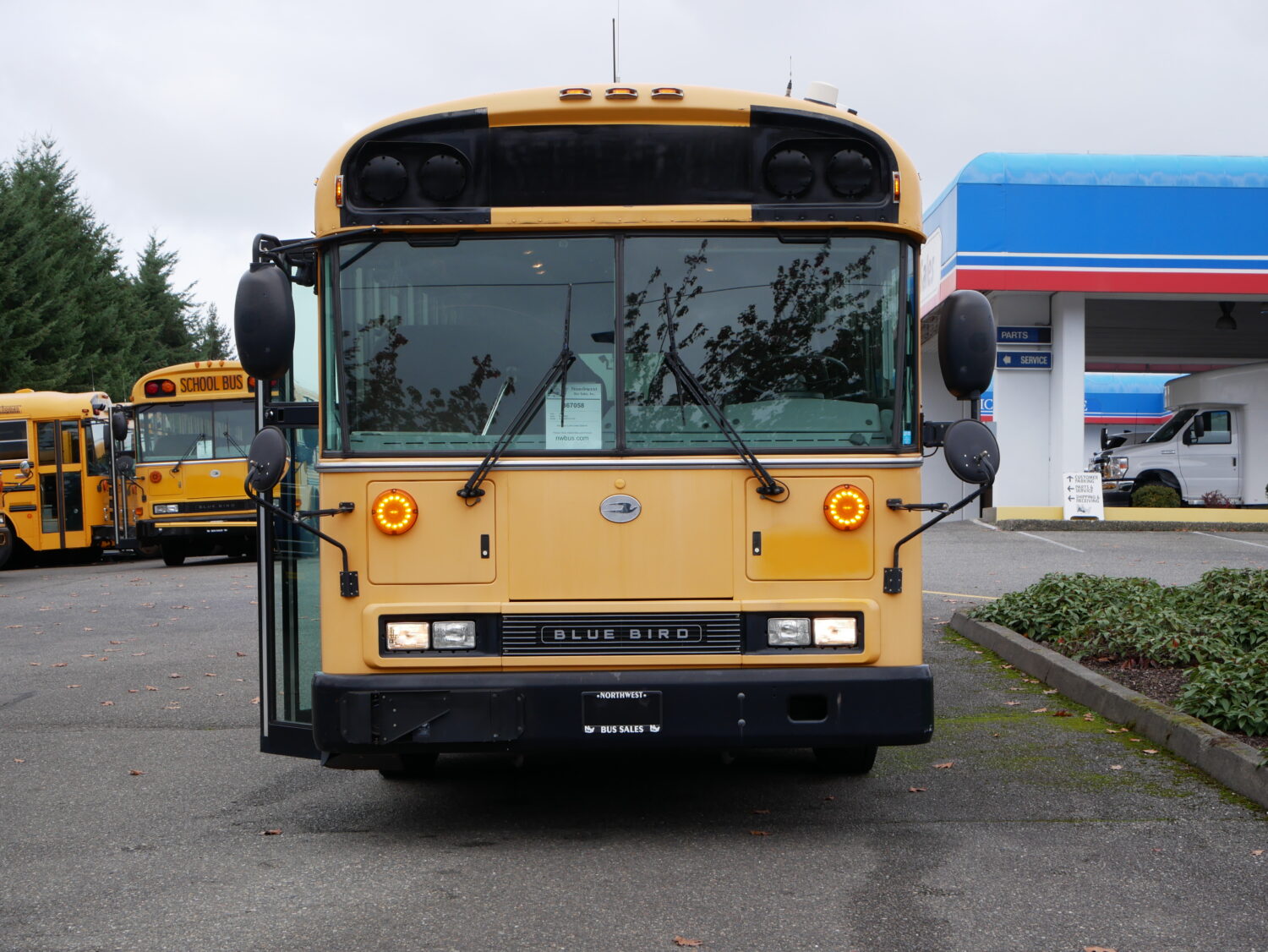 2010 Blue Bird All American 75 Passenger School Bus - B67058 - Image 12