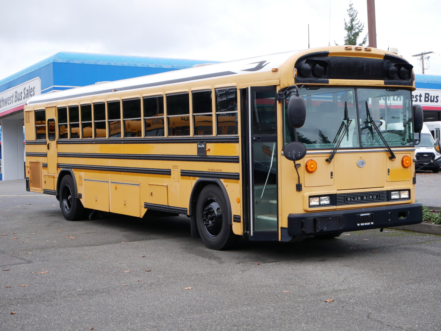 2010 Blue Bird All American 75 Passenger School Bus - B67058