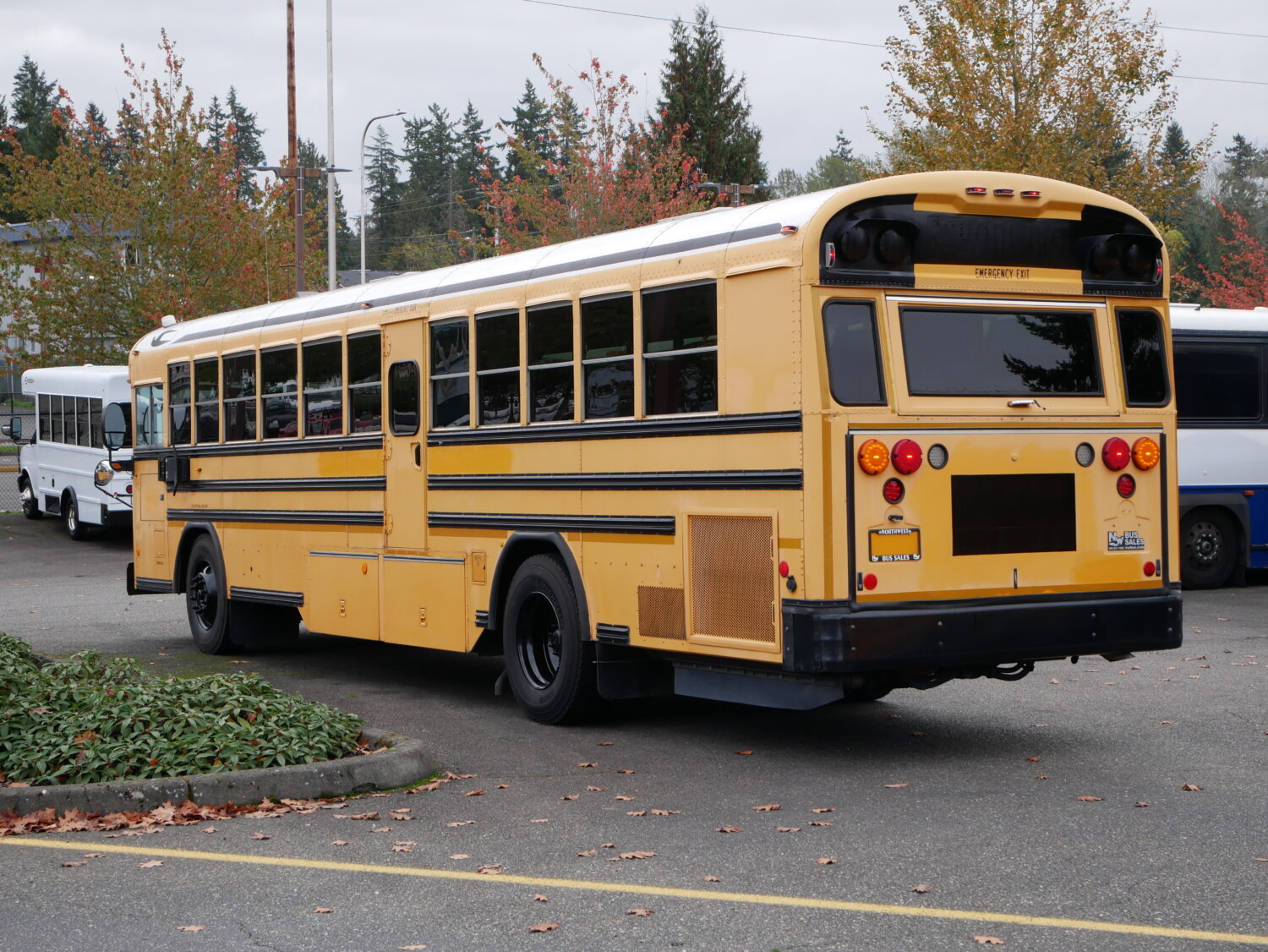 2010 Blue Bird All American 75 Passenger School Bus - B67058 - Image 4