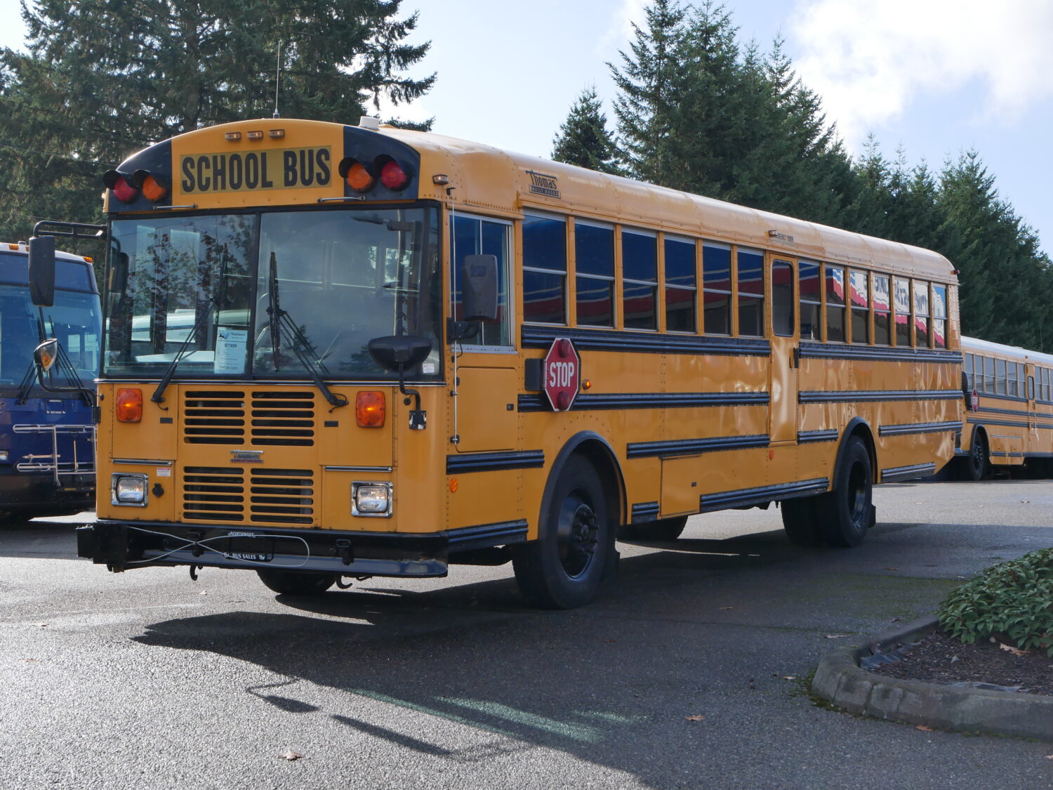 2006 Thomas Saf-T-Liner FE 83 Passenger School Bus - B71029 - Image 2