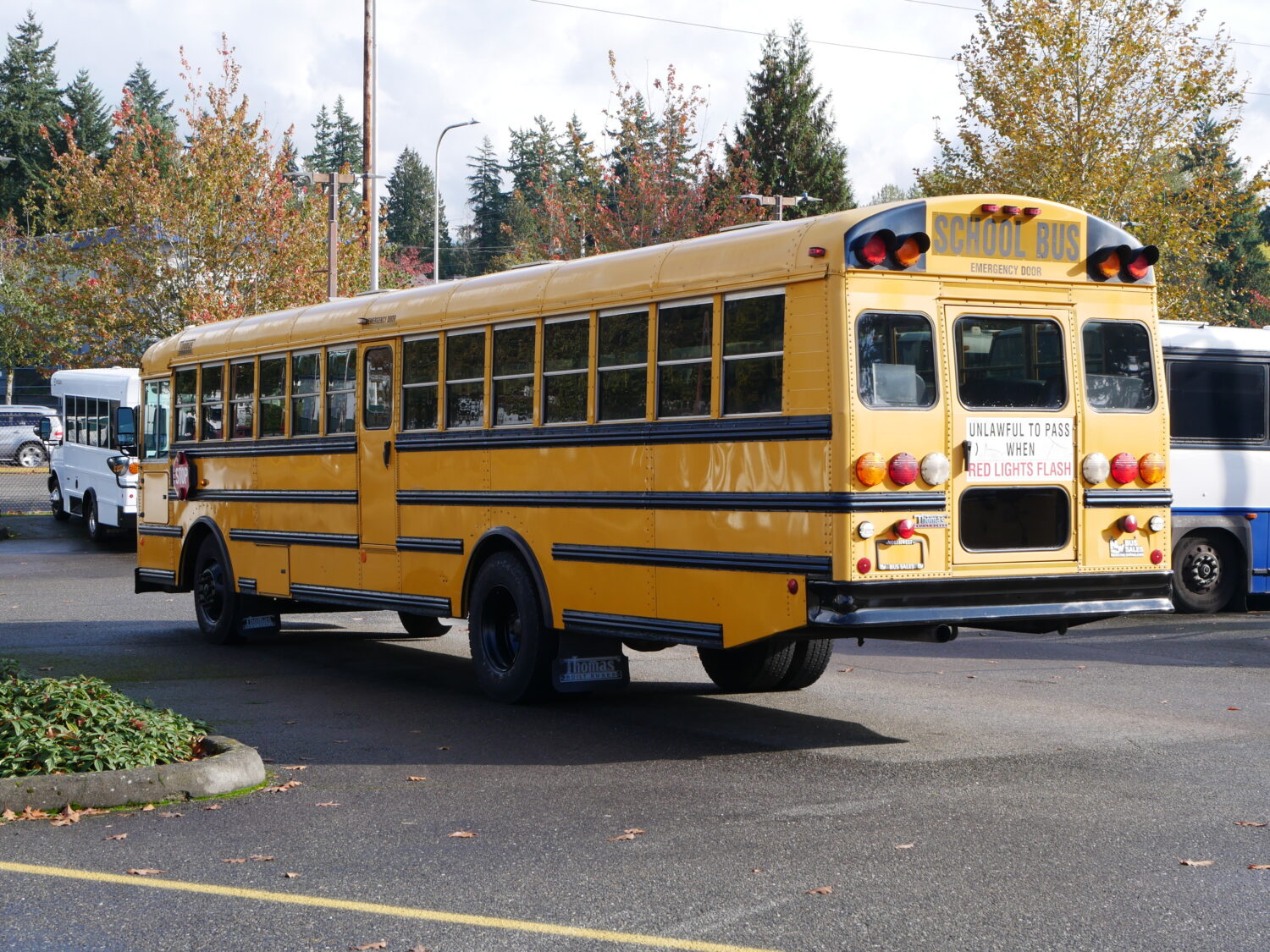 2006 Thomas Saf-T-Liner FE 83 Passenger School Bus - B71029 - Image 4