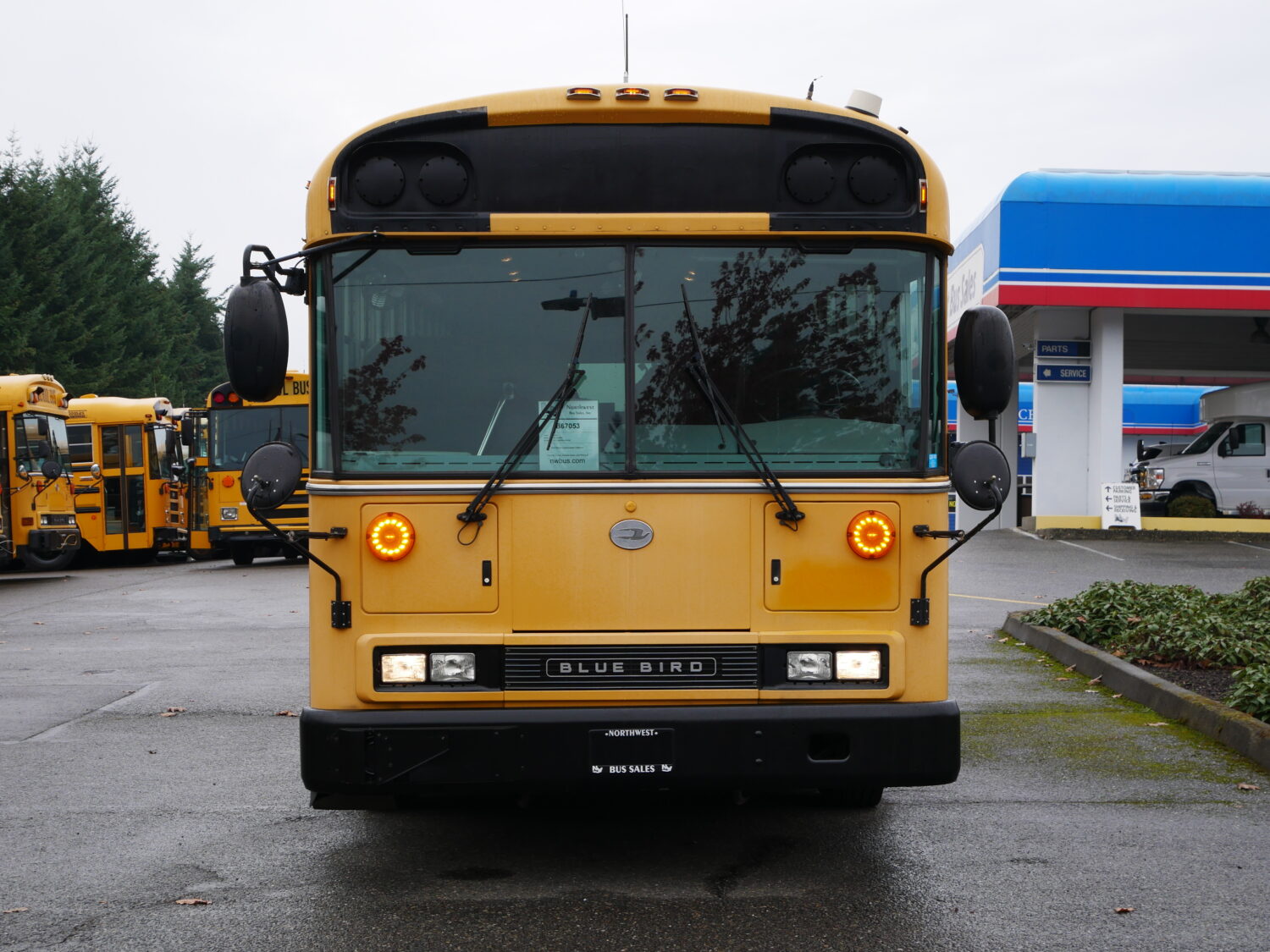 2010 Blue Bird All American 75 Passenger School Bus - B67053 - Image 12