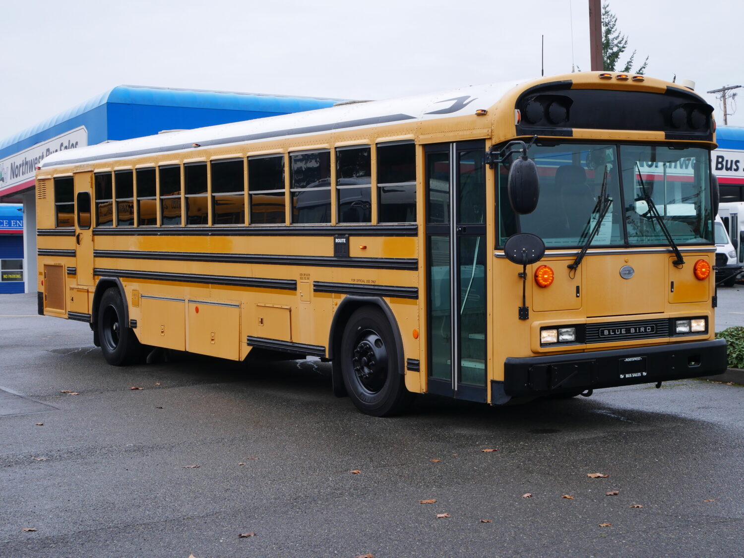 2010 Blue Bird All American 75 Passenger School Bus - B67053