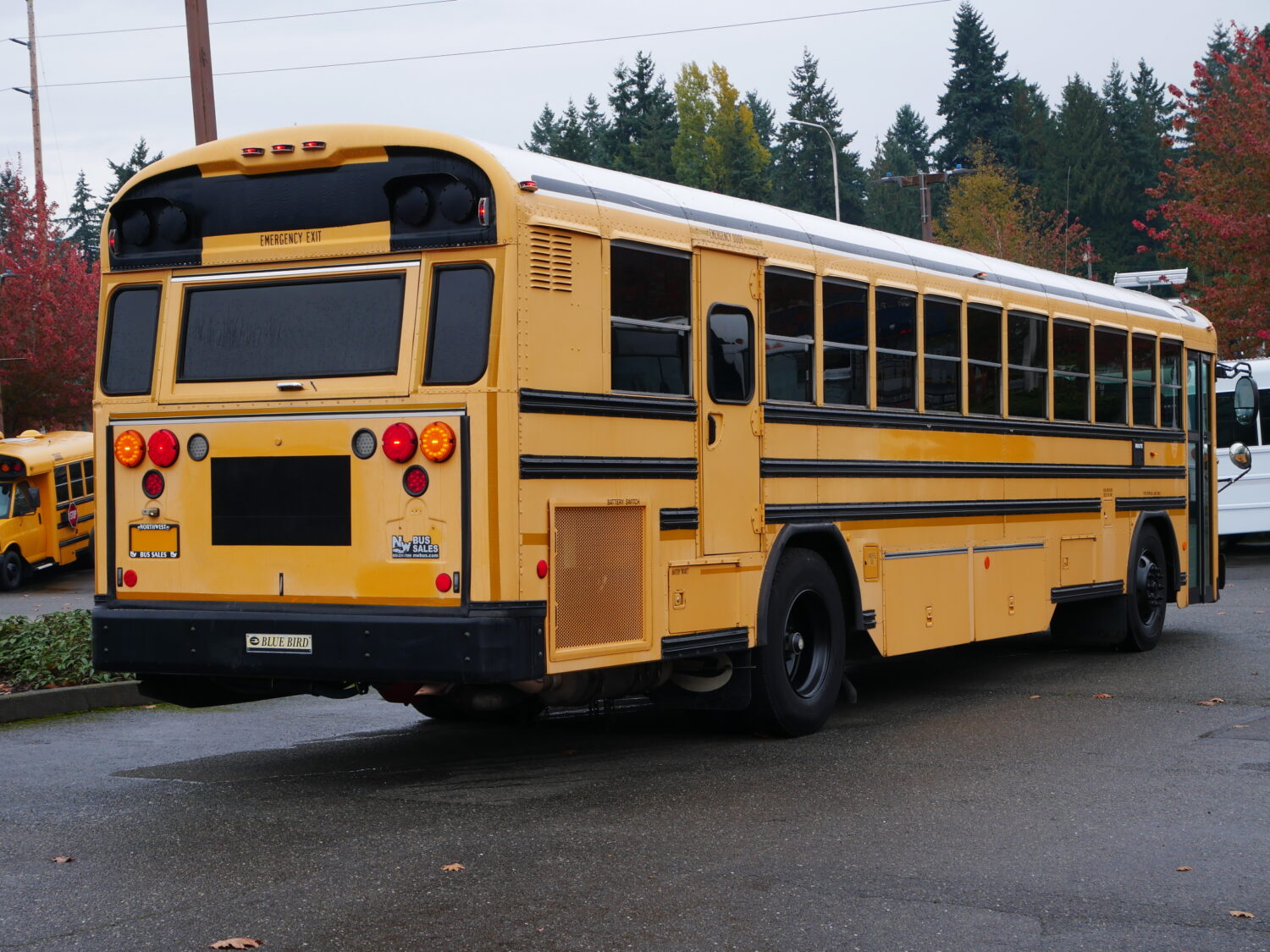 2010 Blue Bird All American 75 Passenger School Bus - B67053 - Image 3