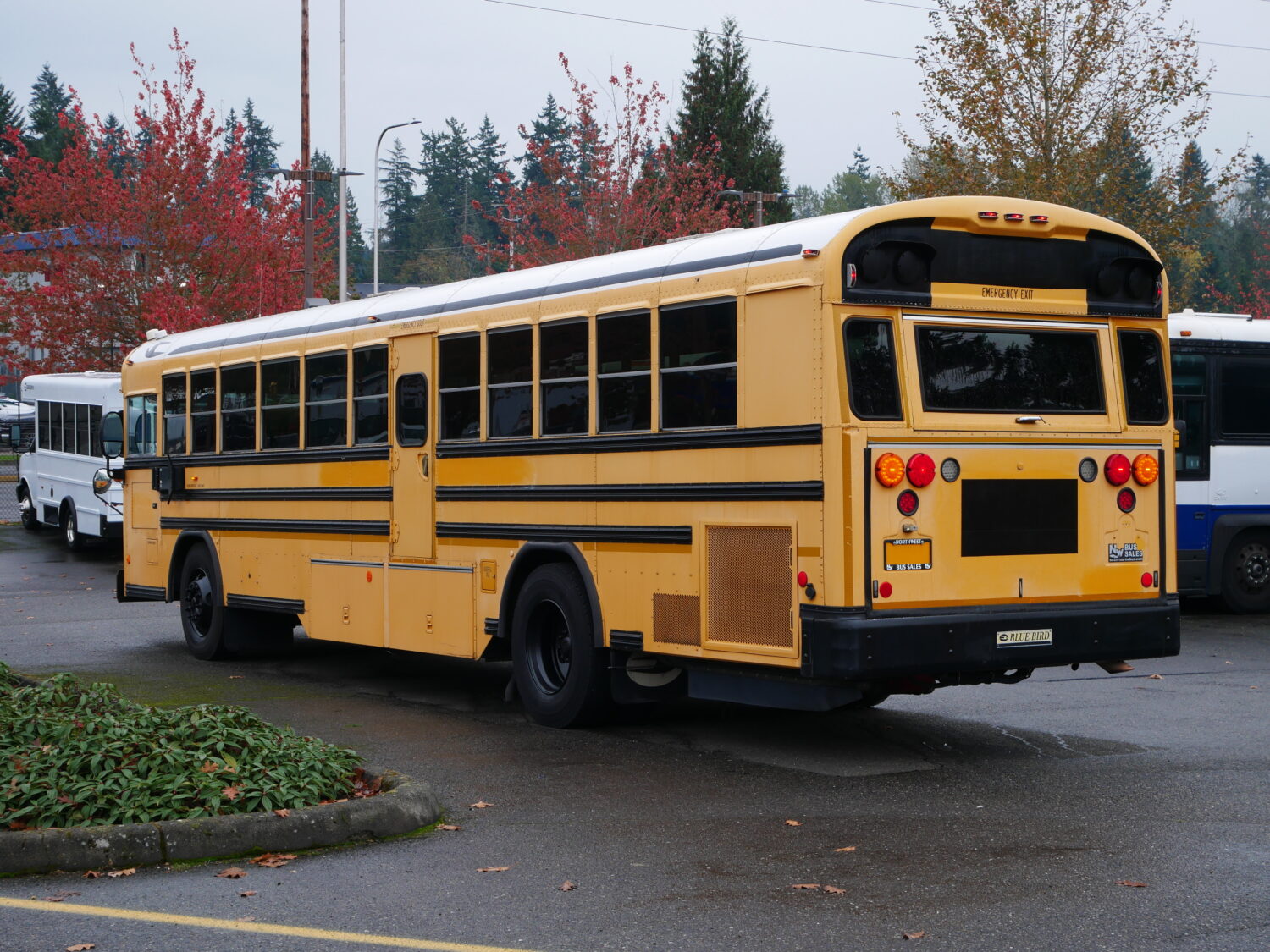 2010 Blue Bird All American 75 Passenger School Bus - B67053 - Image 4